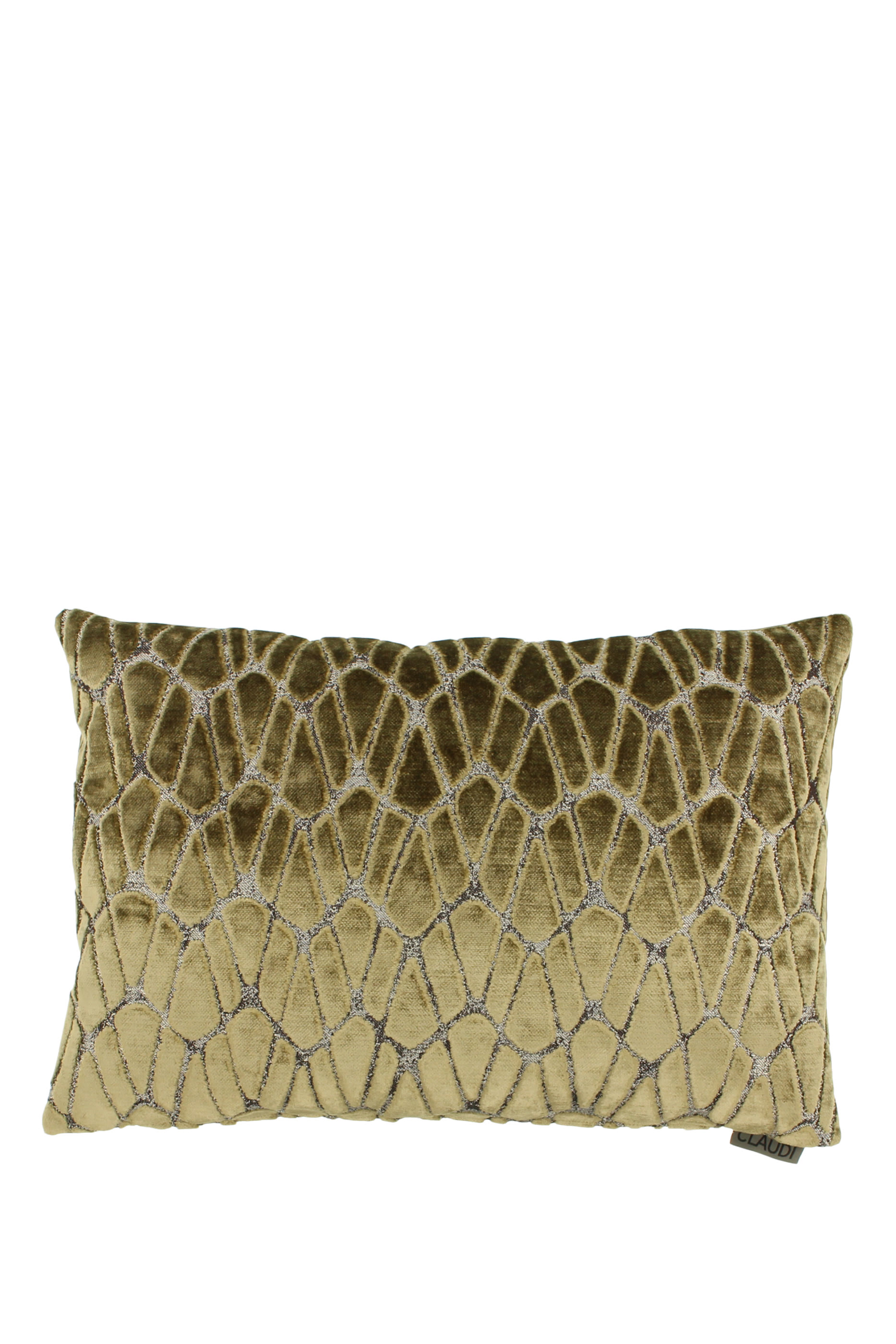 Rodolfo Decorative Cushion