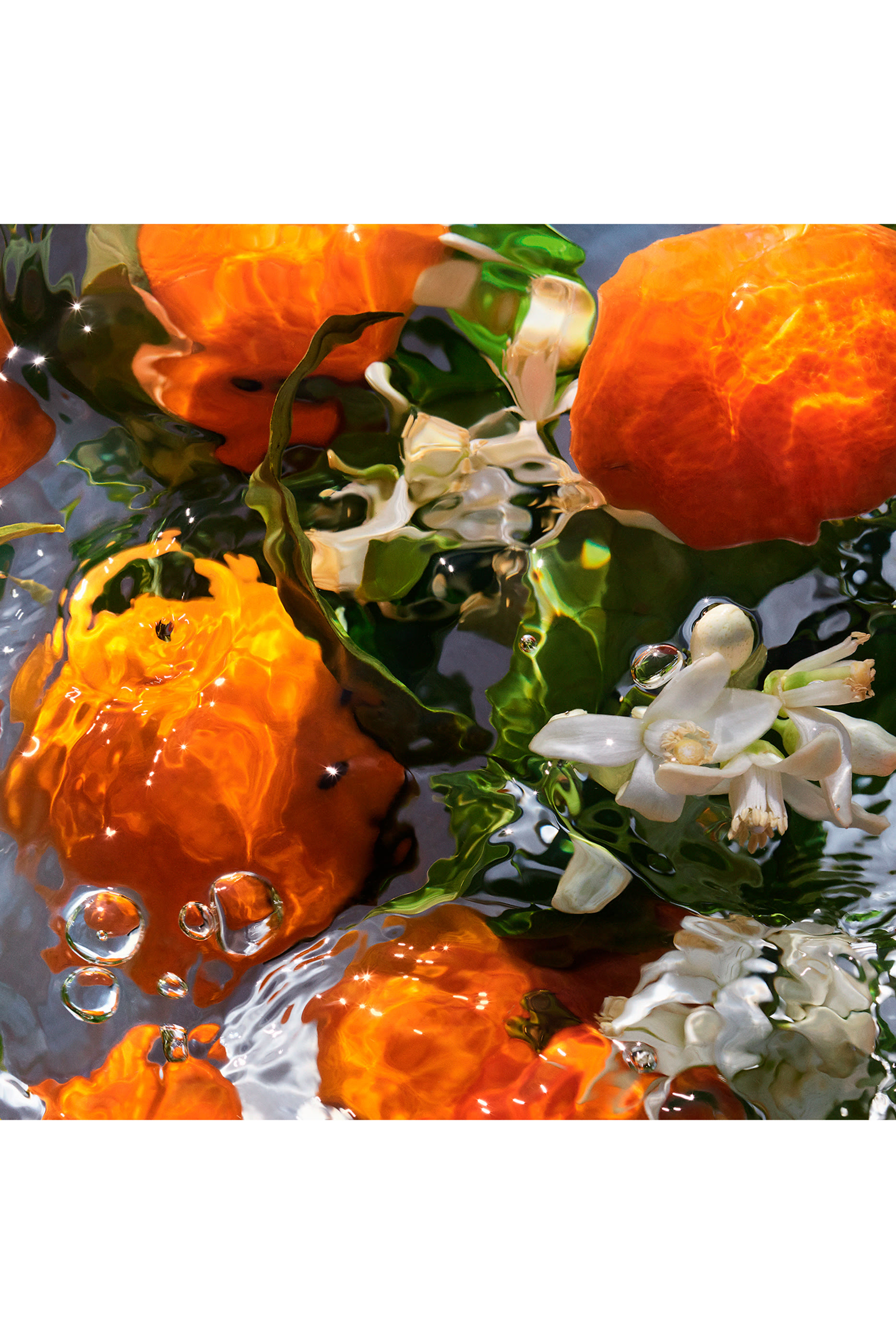 Aqua Allegoria Orange Soleia Eau de Toilette