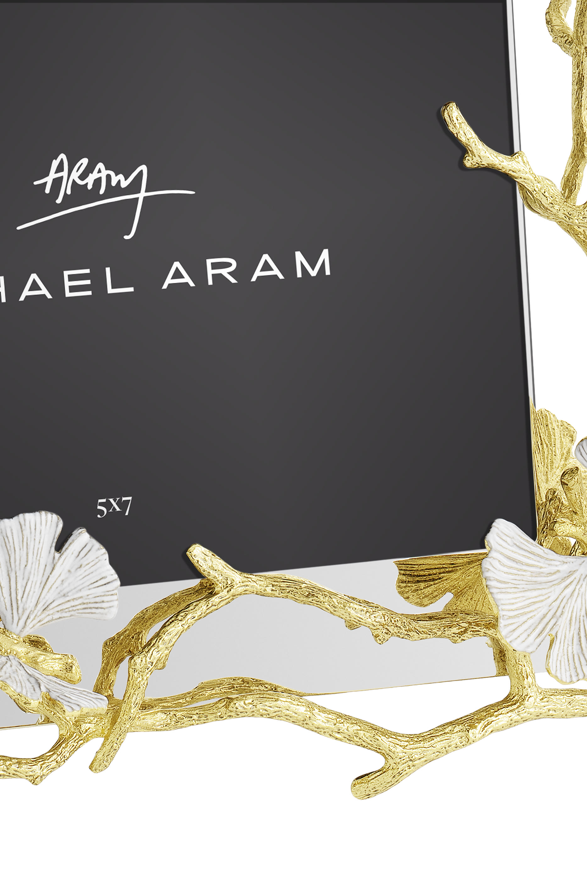 Butterfly Ginkgo Gold Reflective 5x7 Frame