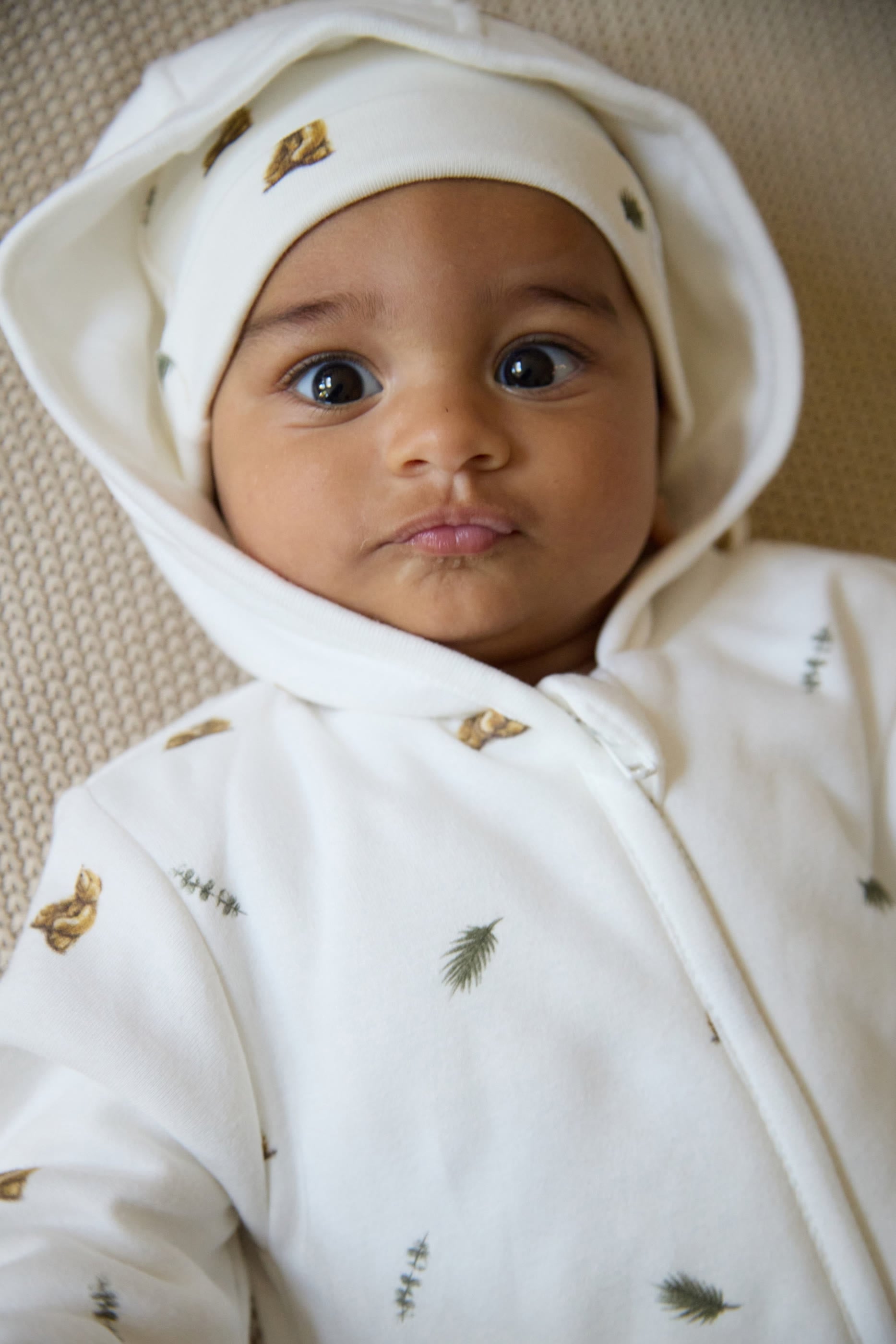 Kids Brown Bear Print Pramsuit
