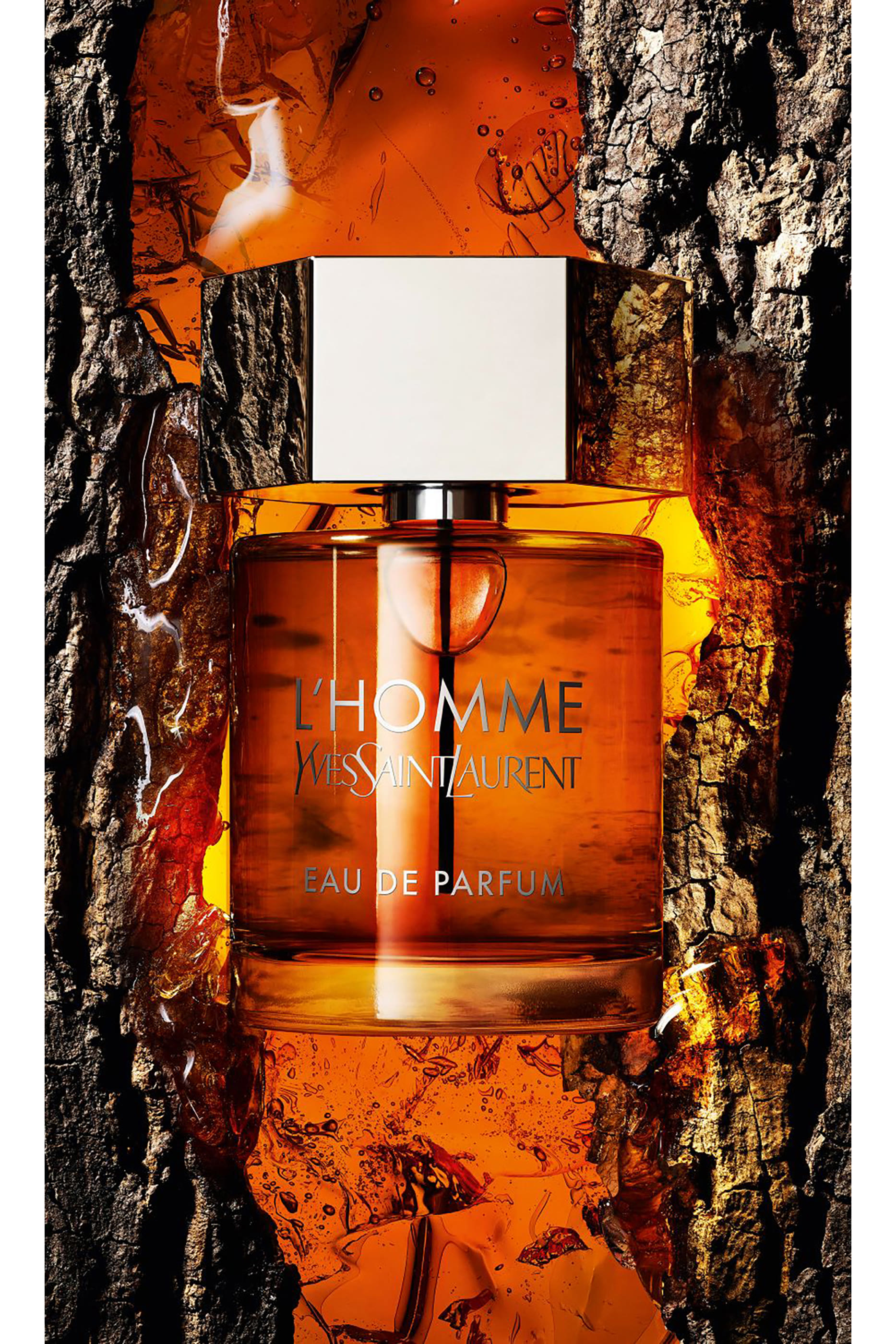 L’Homme Eau De Parfum