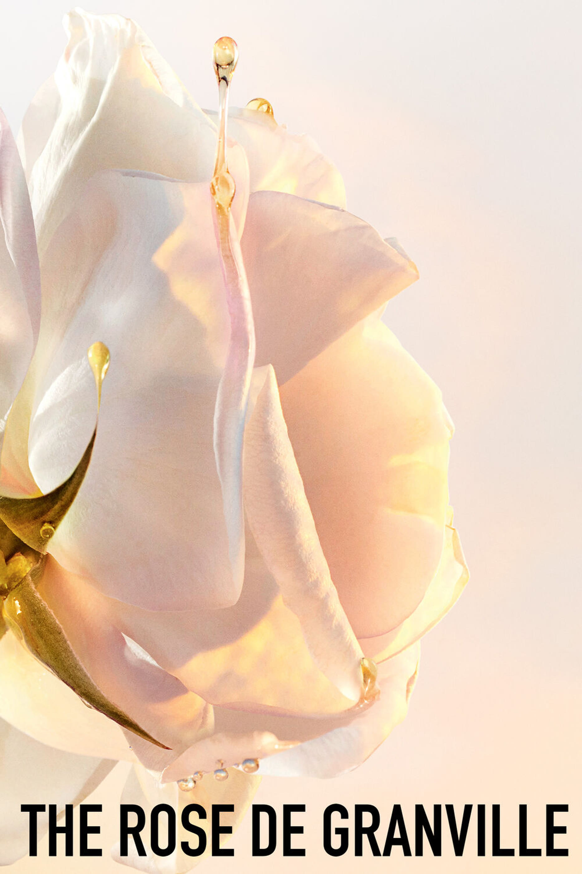 Dior Prestige Le Savon