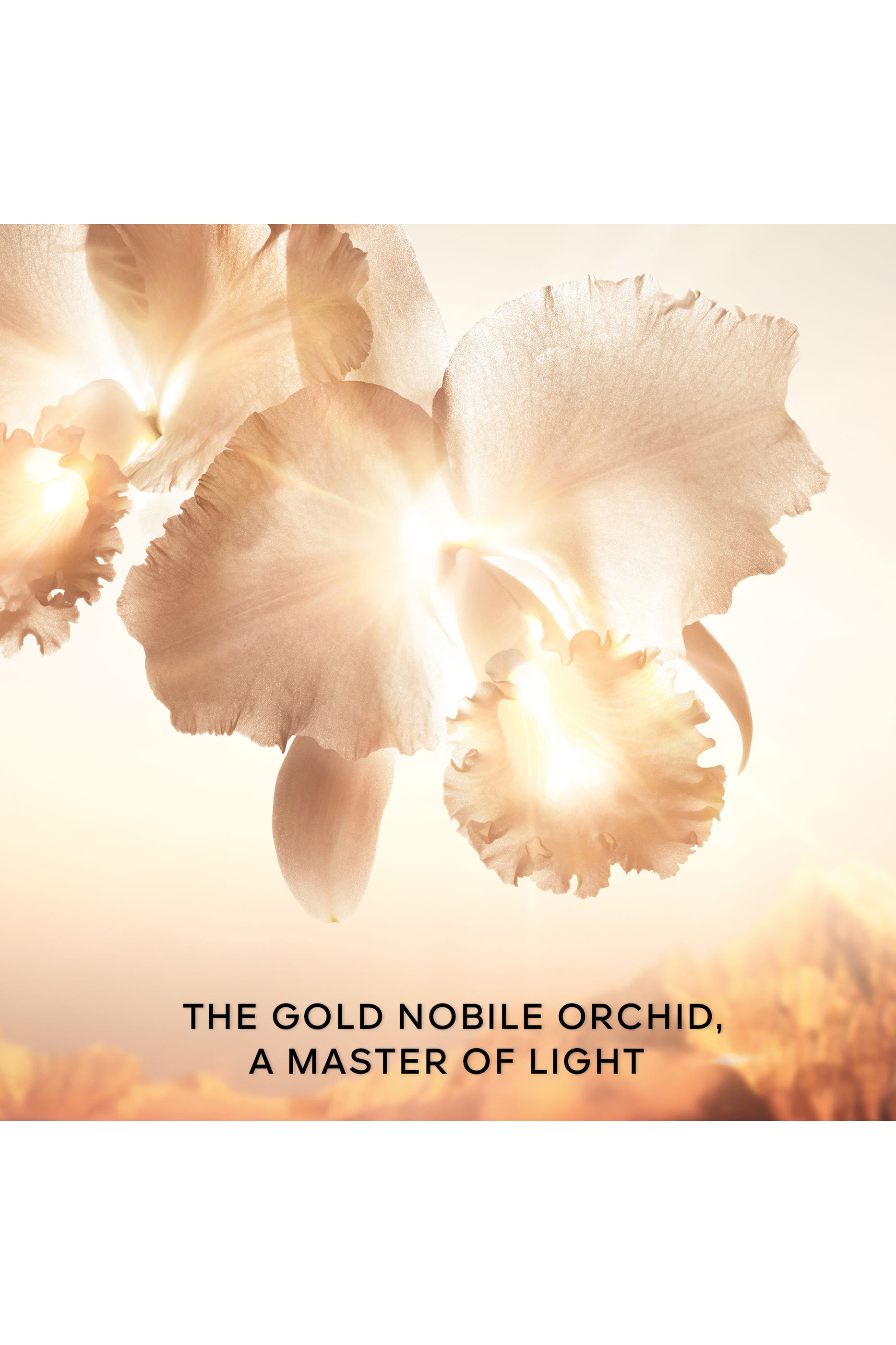 Orchid&eacute;e Imp&eacute;riale Gold Nobile The Goldessence Lotion 