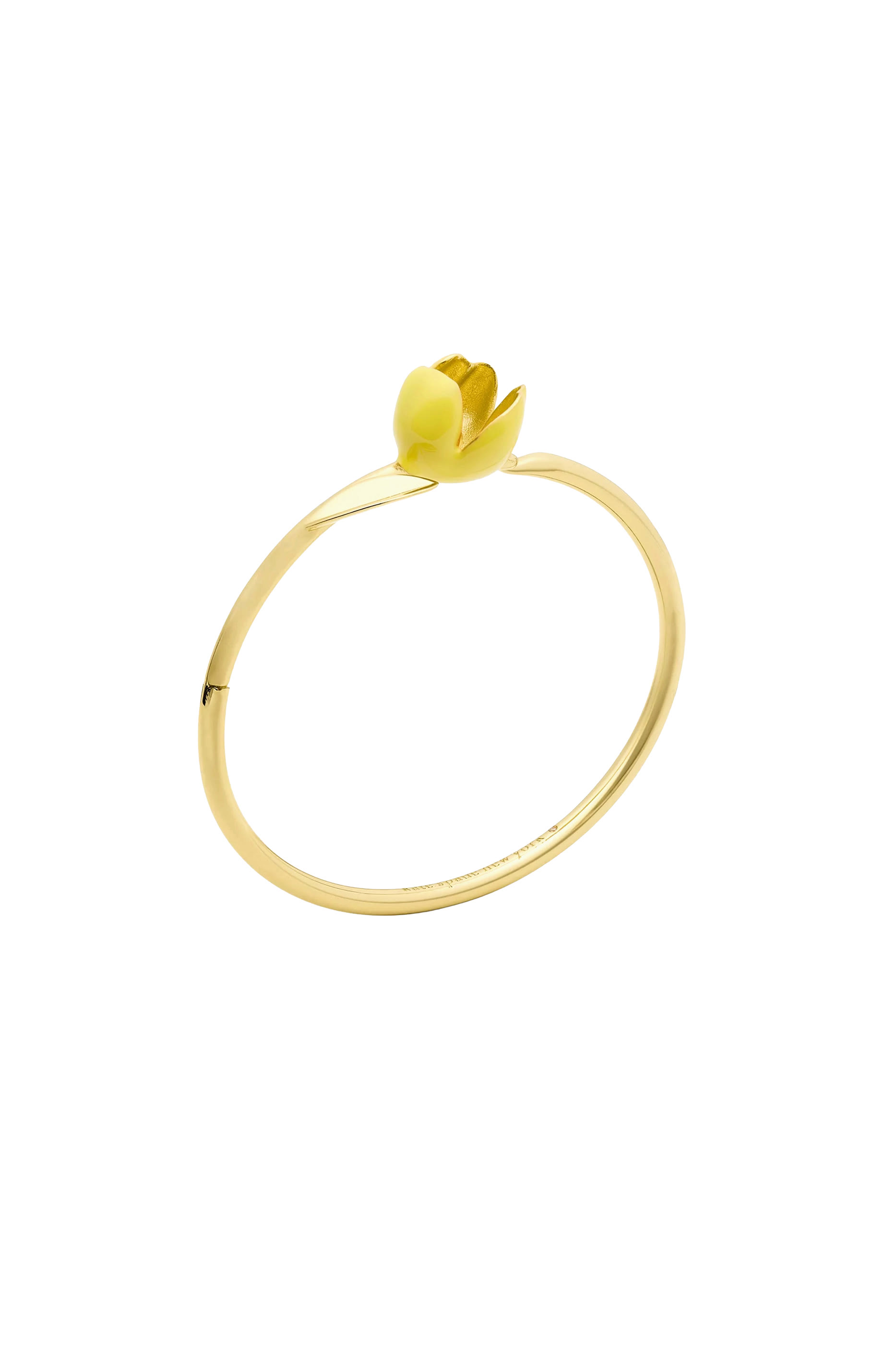 Bloom Bangle, Enamel