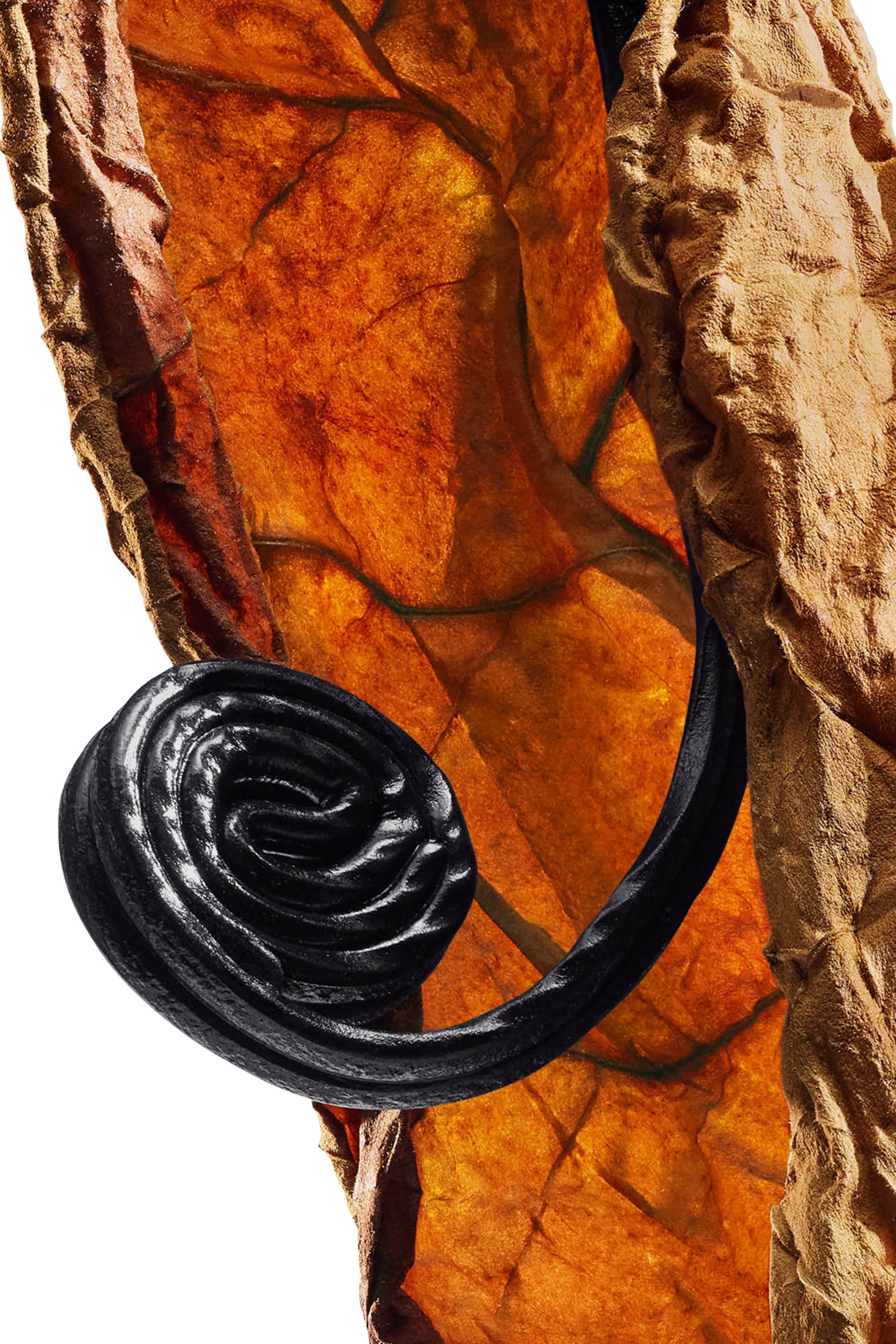 Eau de Parfum Havana Gold 