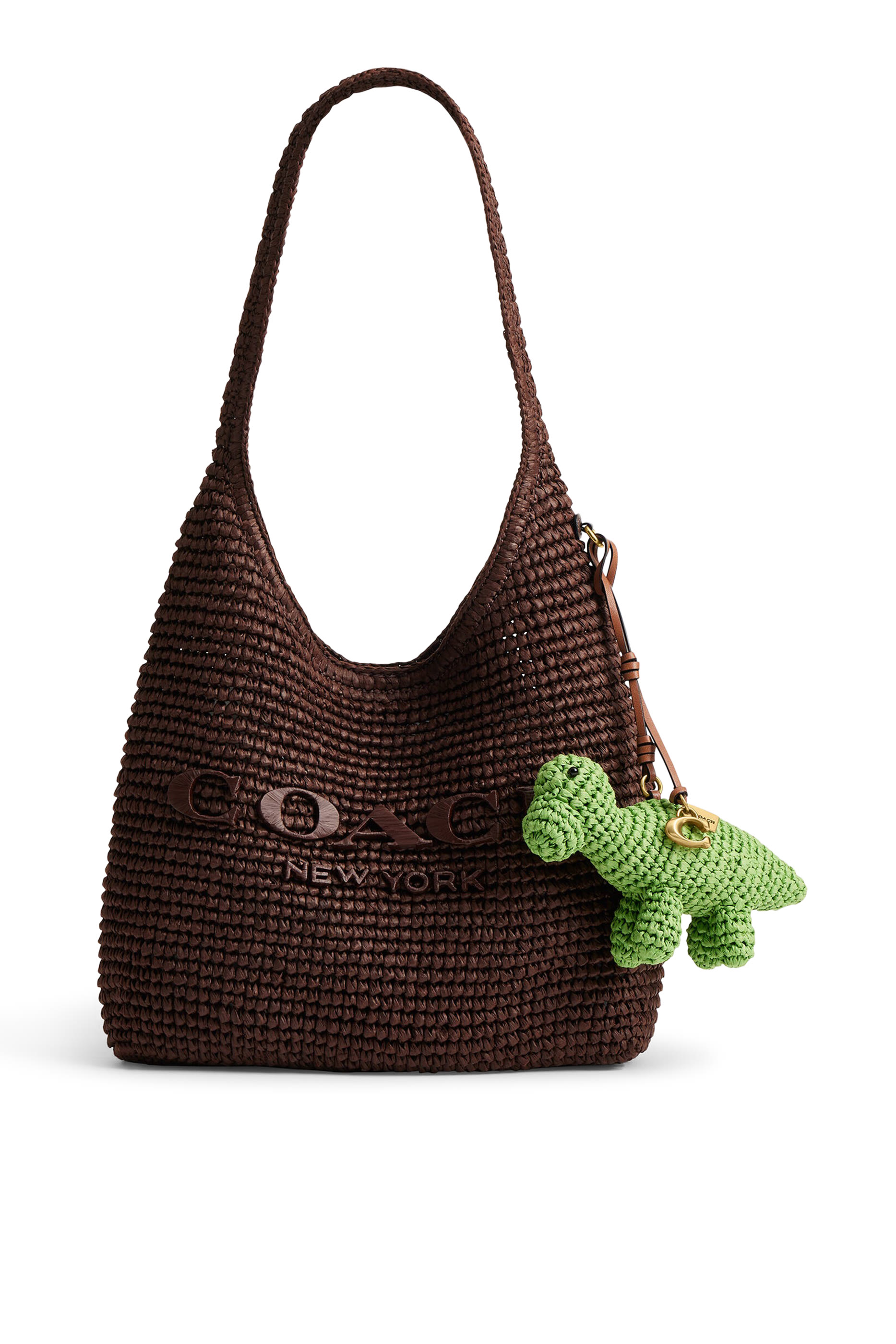 Dino Bag Charm