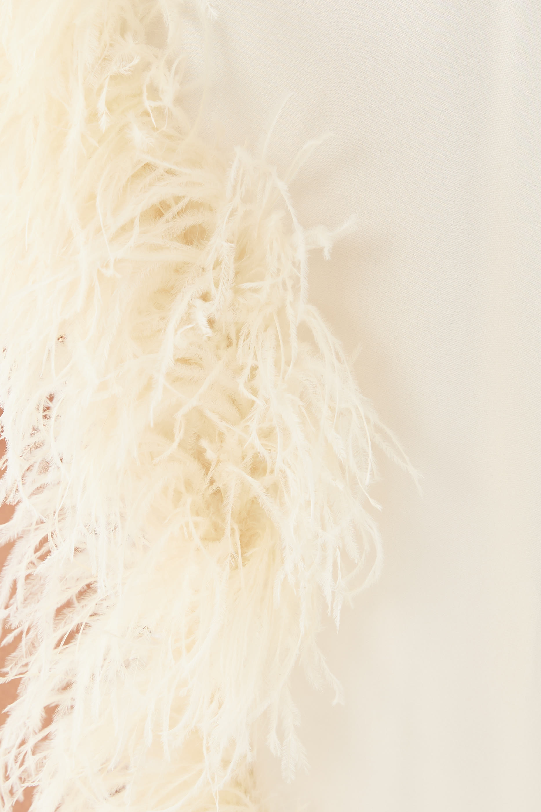 Satin Mini Dress With Feathers 