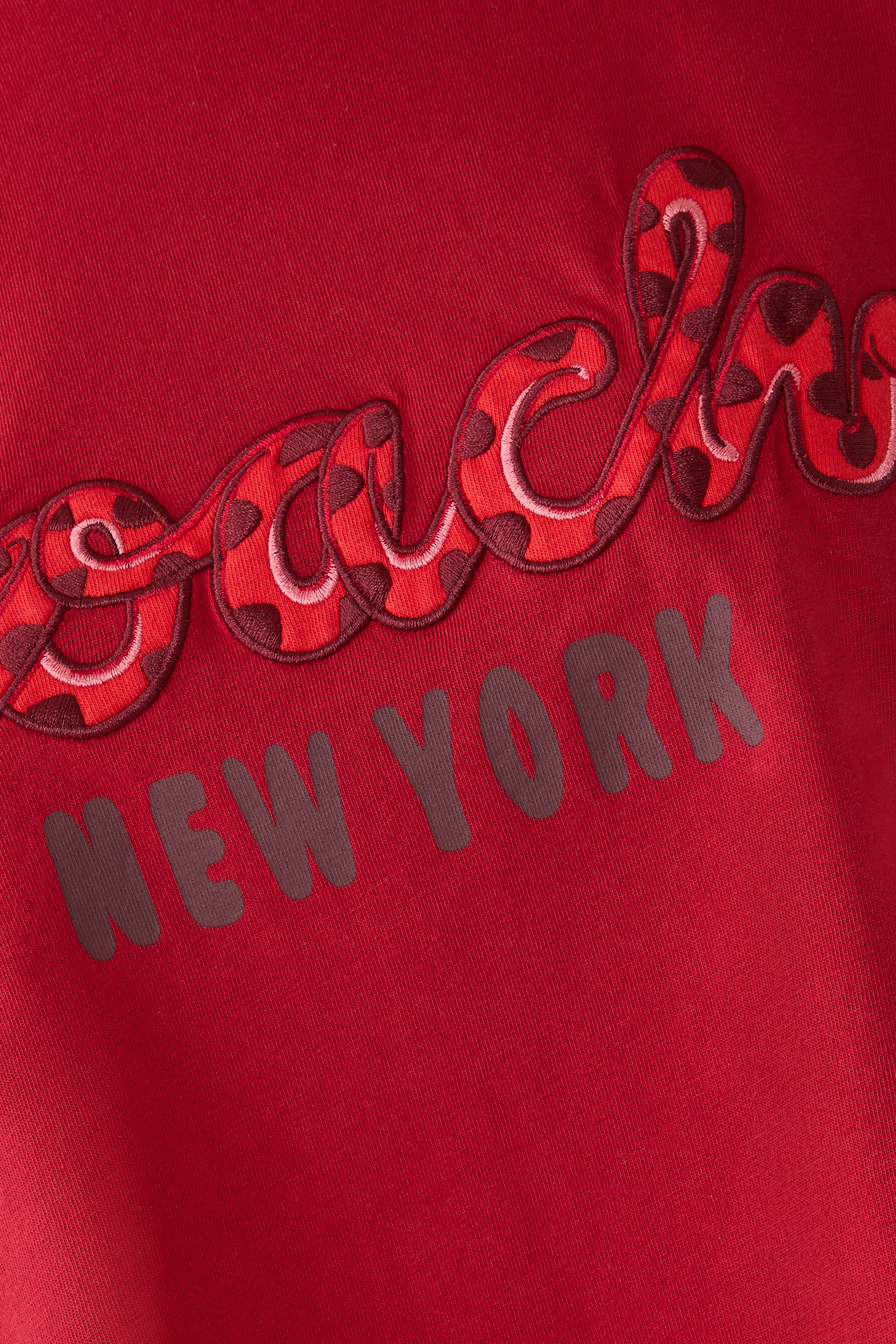 New Year Snake Script Crop T-Shirt