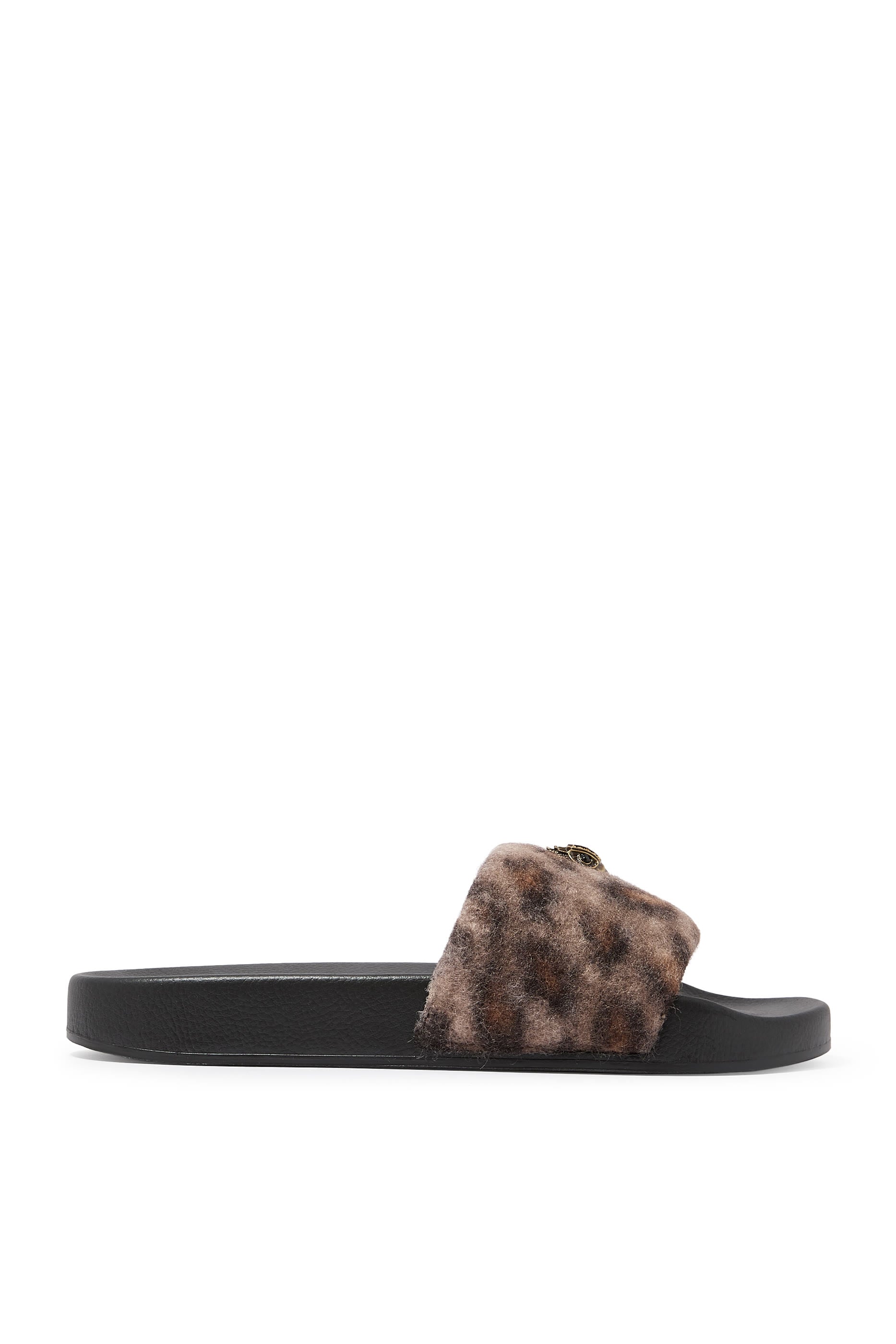 Meena Eagle Slides