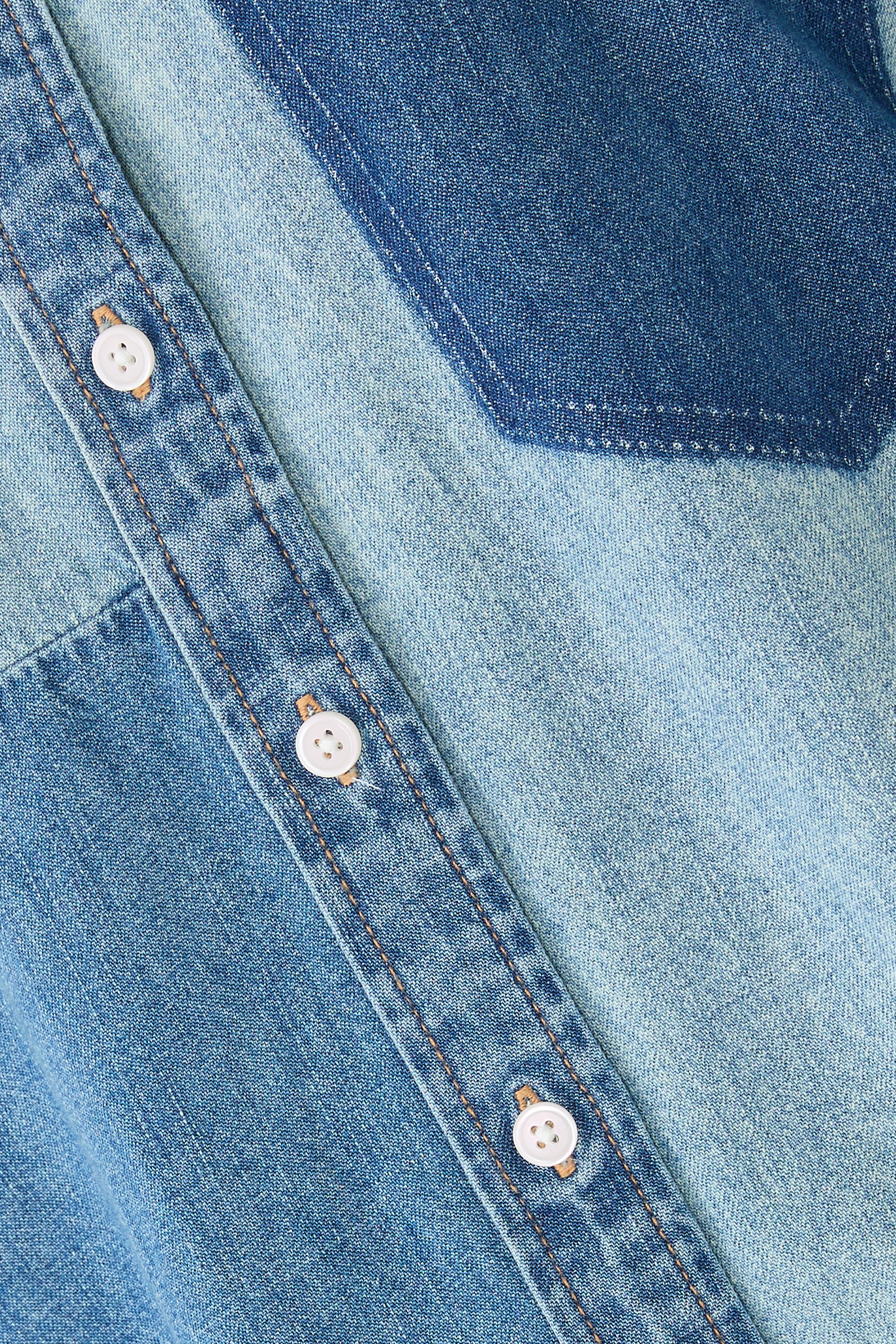 Dalma Denim Button-Down Shirt