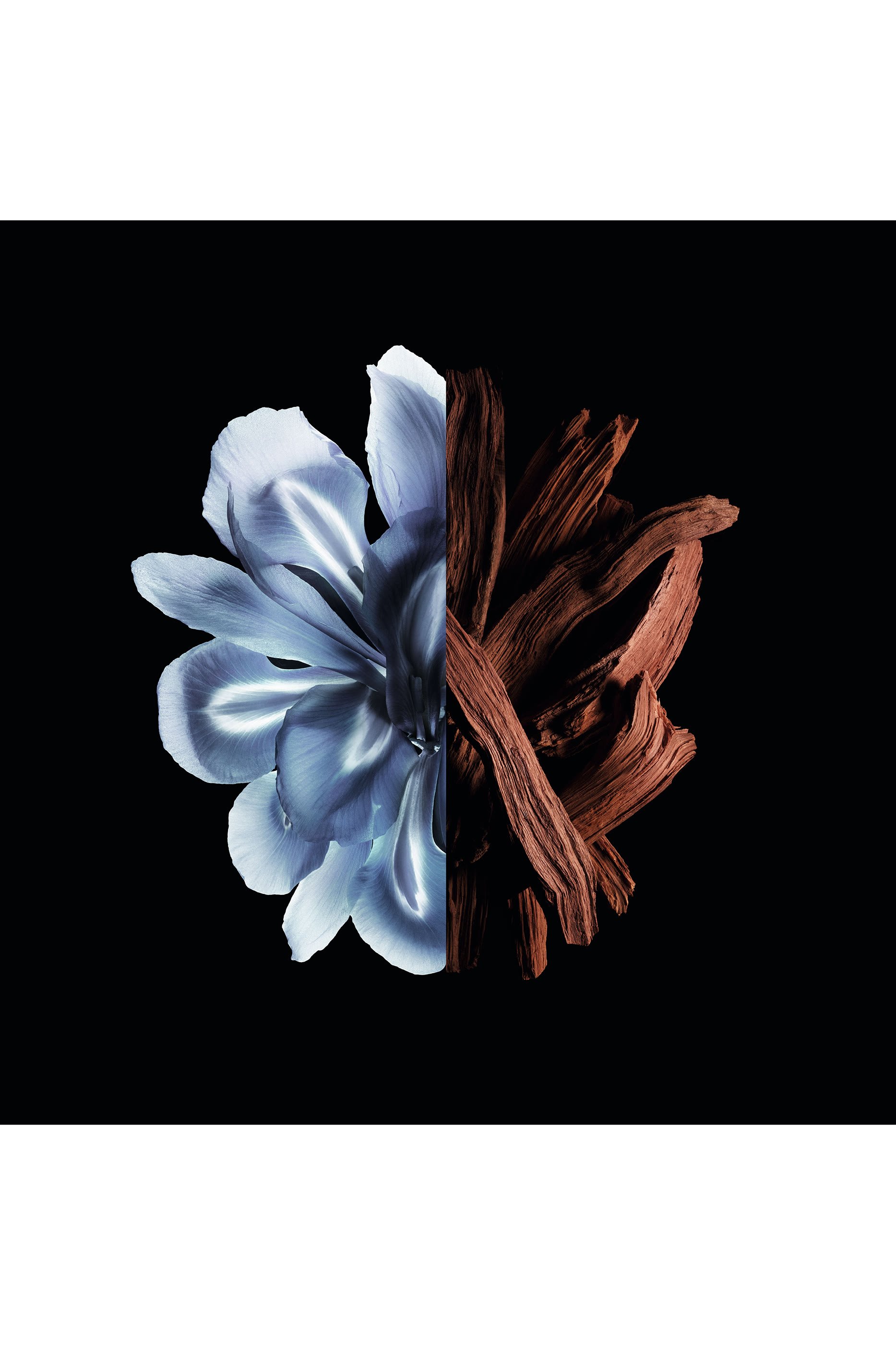 Gentleman Eau De Parfum Reserve Privée