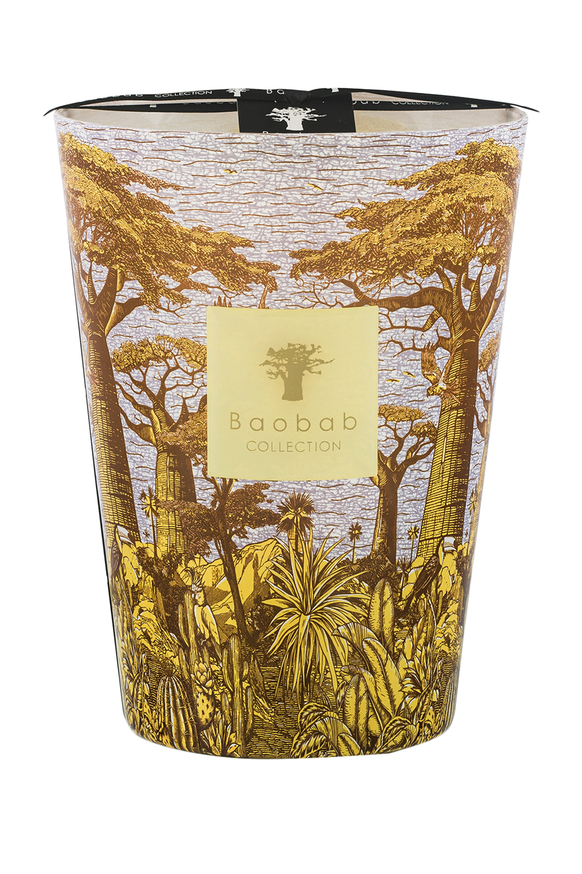 Max 10 Sacred Trees Cocody Candle 