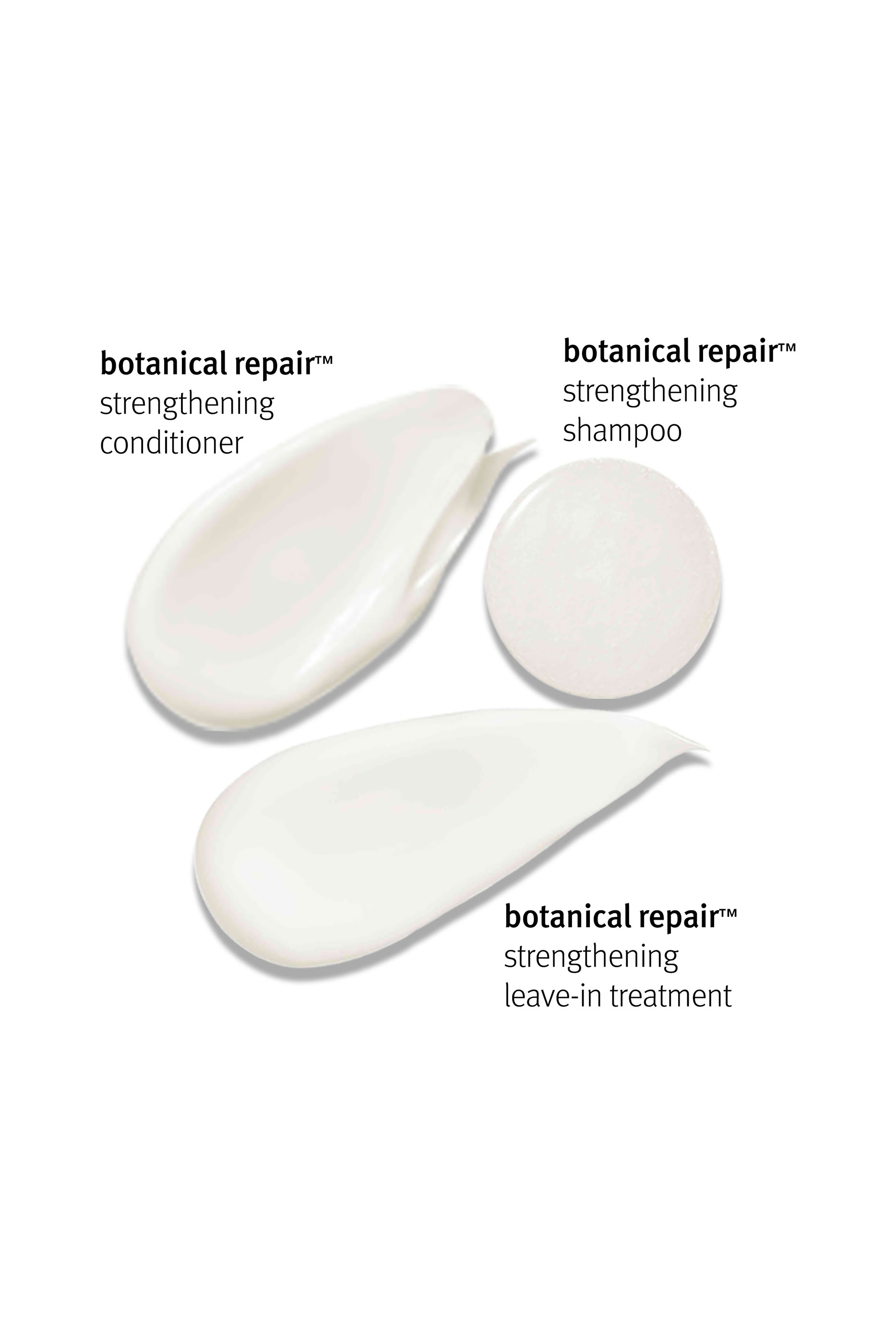 Botanical Repair Strengthening Essentials Gift Set