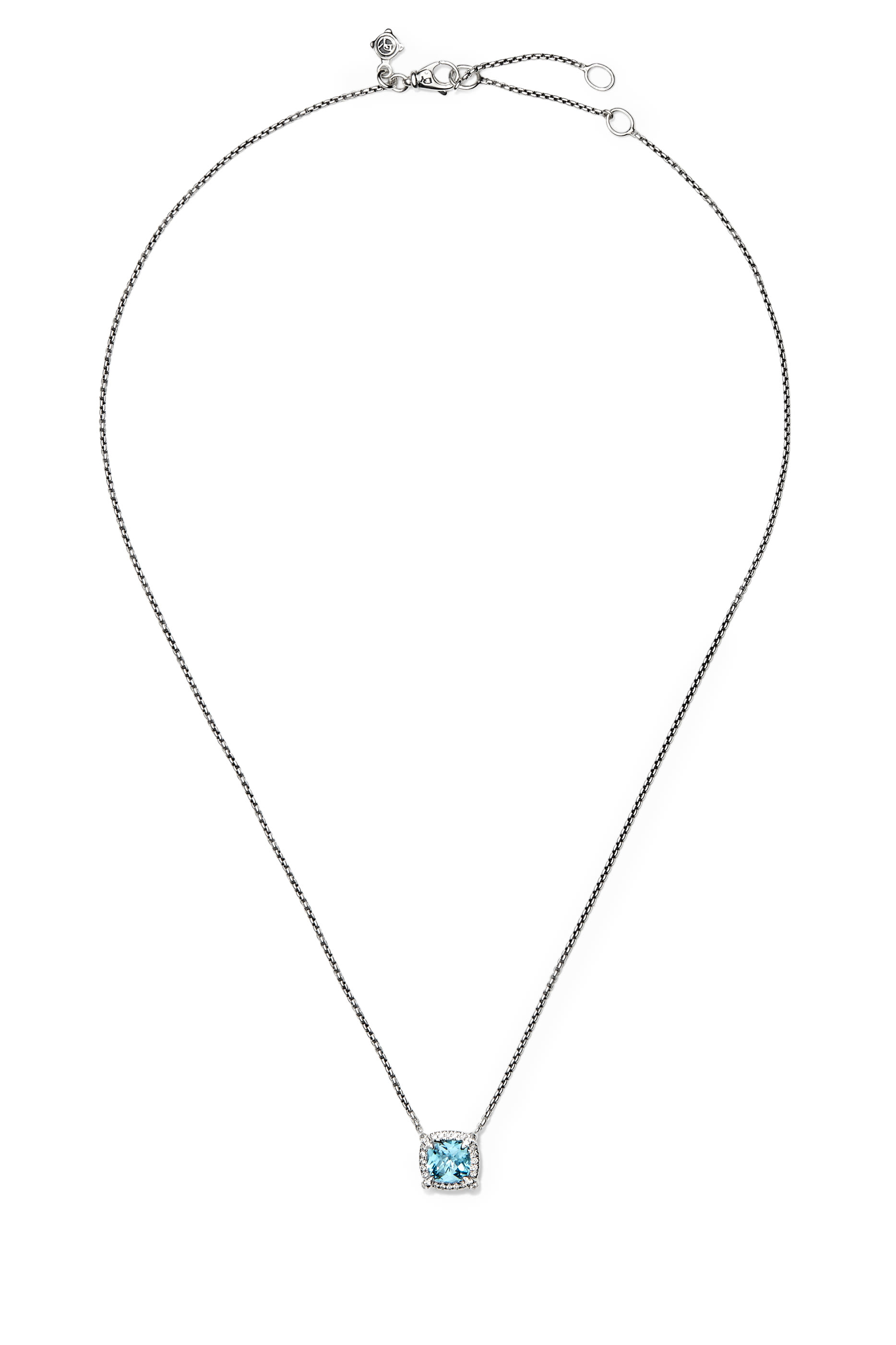 Petite Chatelaine&reg; Bezel Necklace