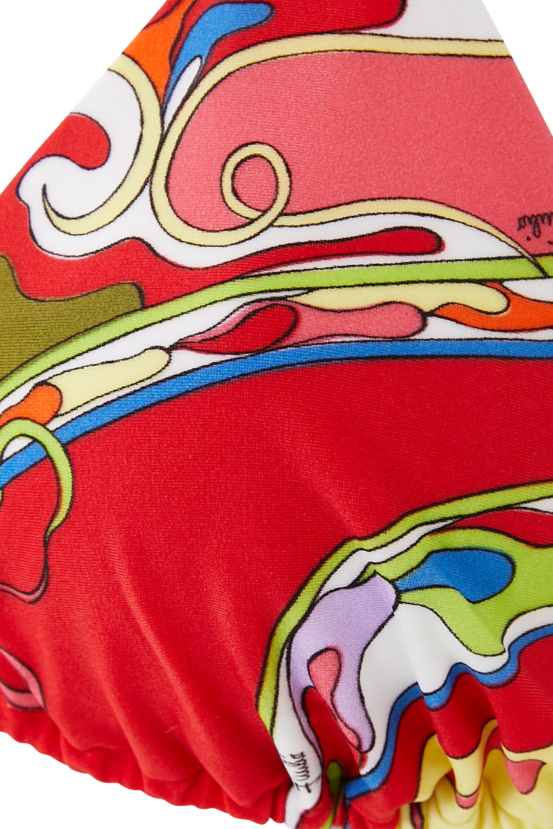 Printed Triangle Bikini Top