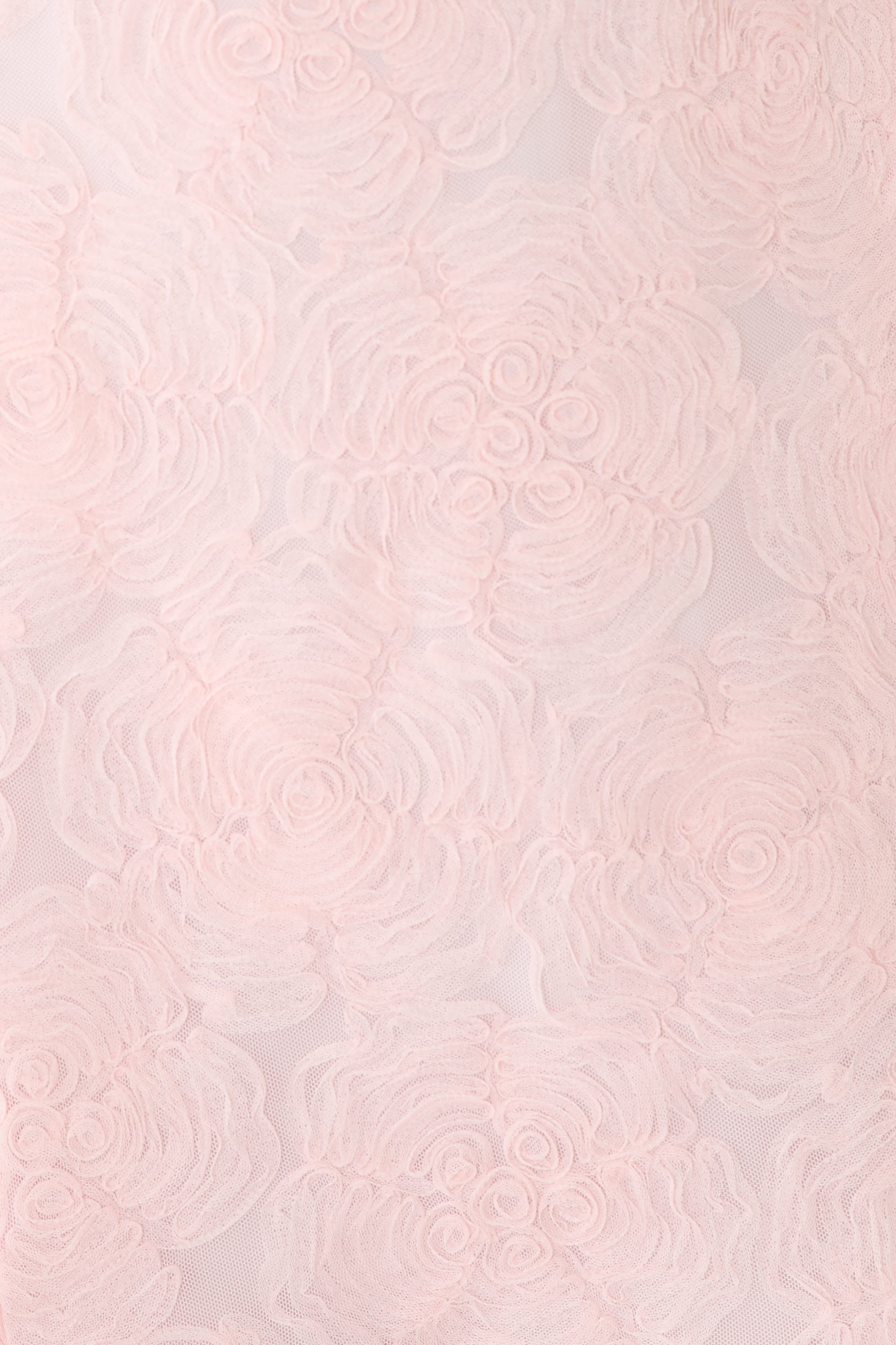 Embroidered Mesh Mini Dress 