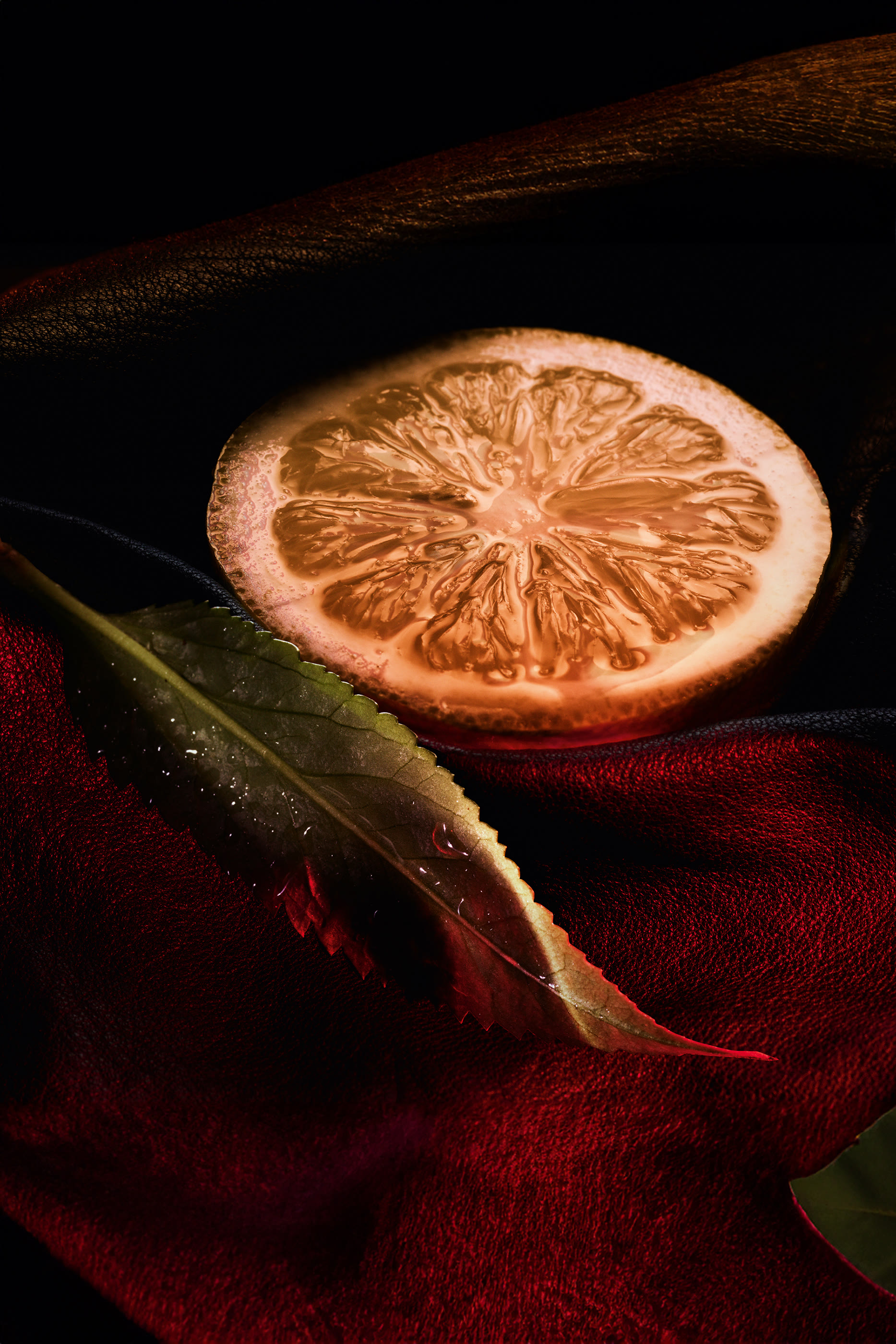 Habit Rouge Rouge Priv&eacute; Eau de Parfum