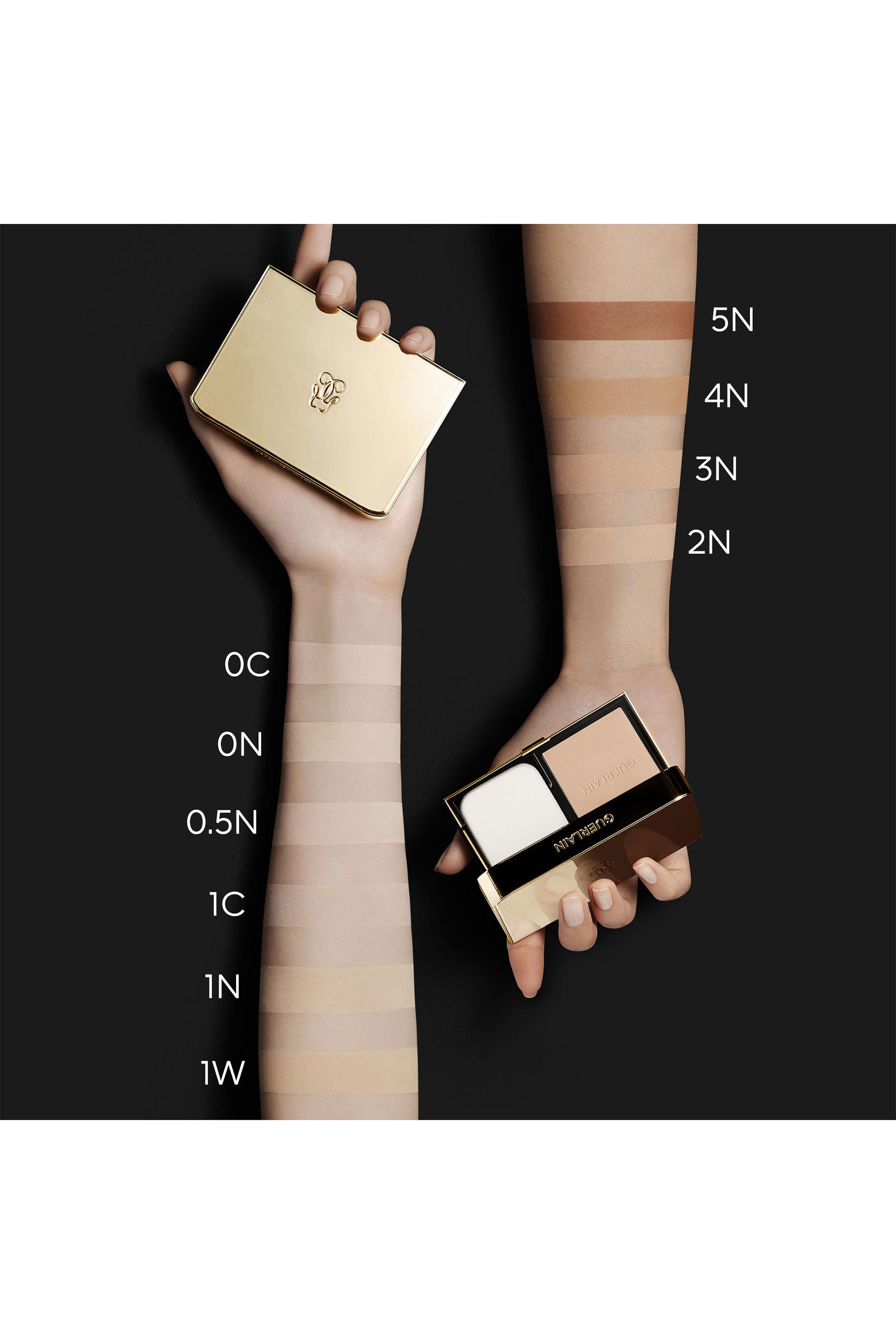 Parure Gold Skin Control Compact Powder