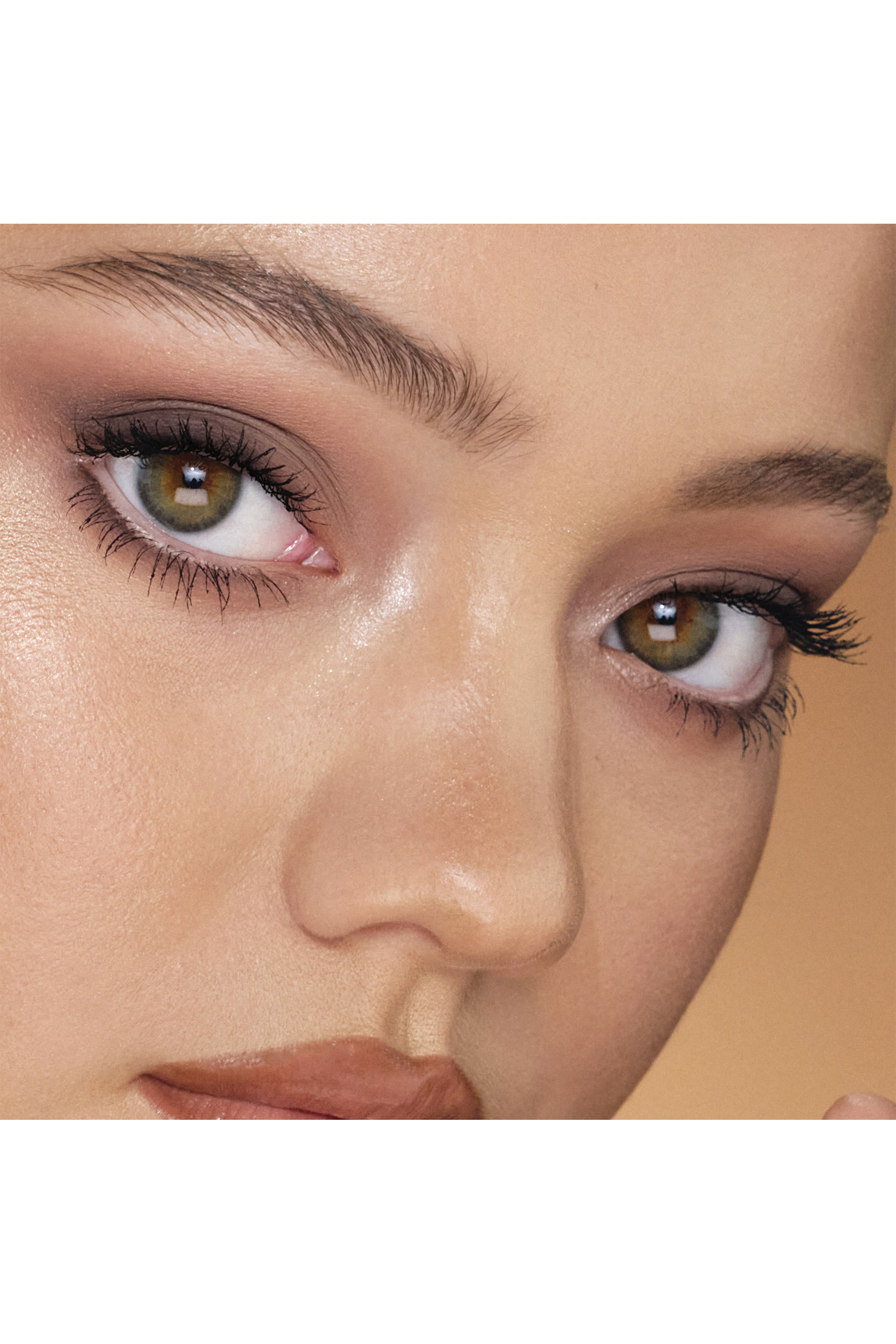 Spring Palette Vault