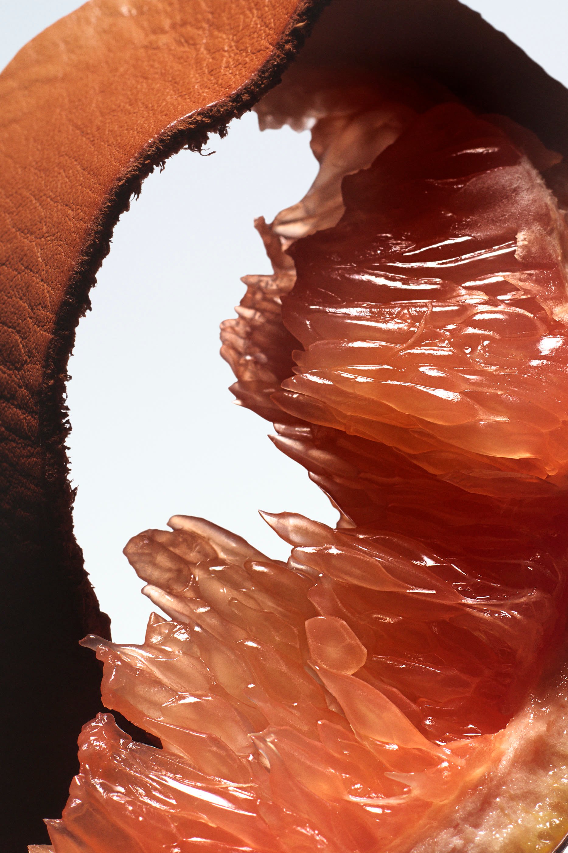 Bitter Splash Eau de Parfum