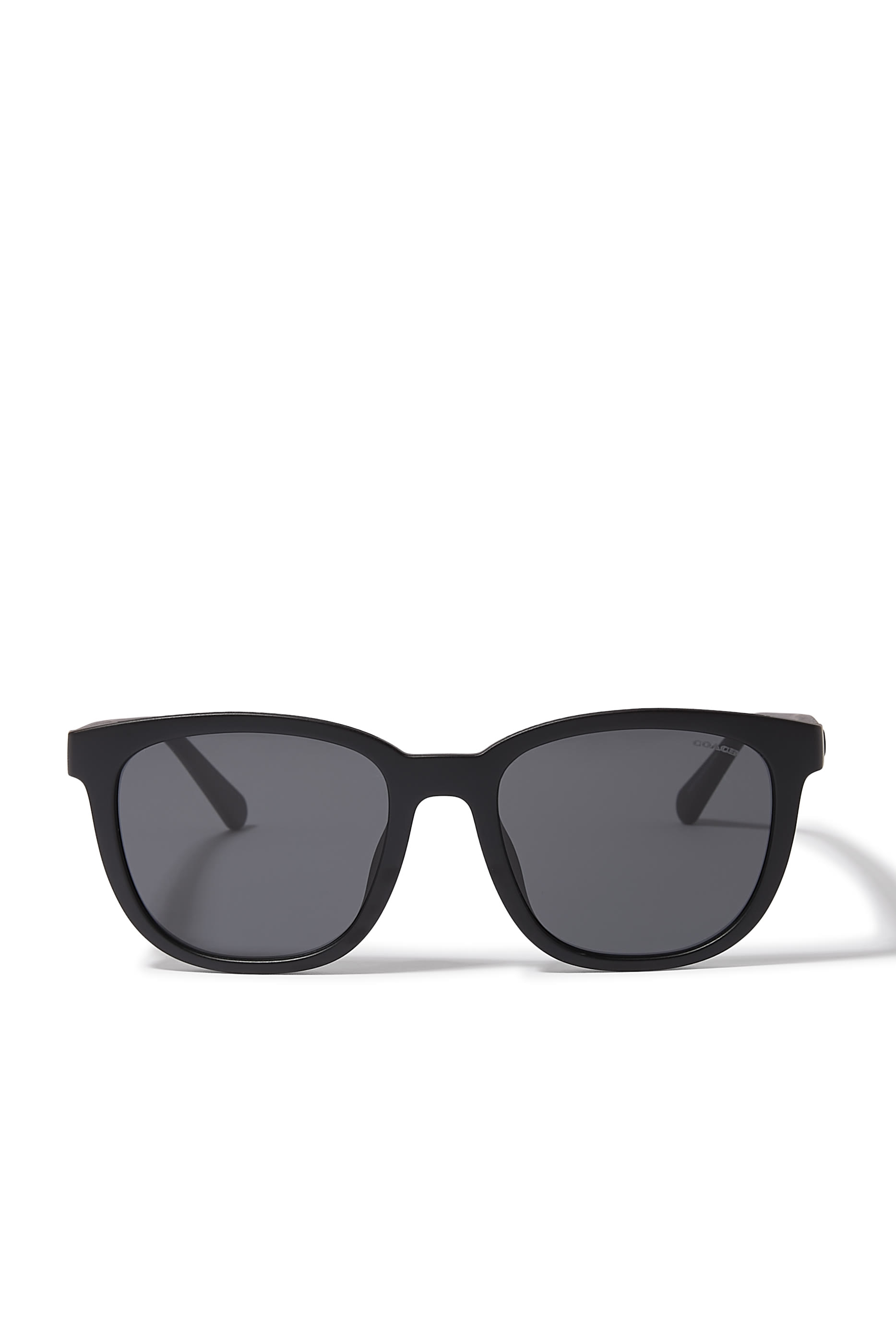 Wayfarer C Crosshatch Temple Sunglasses