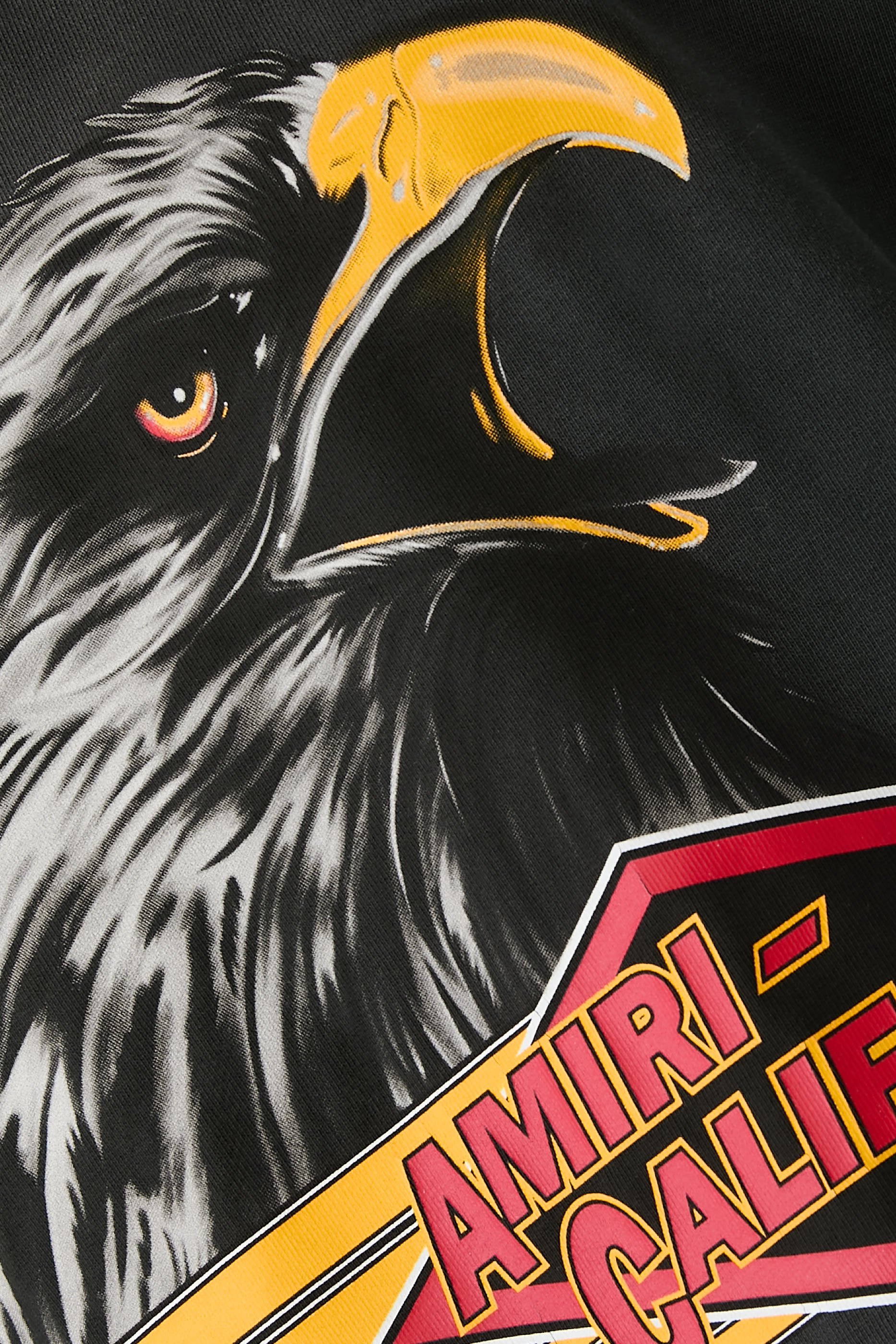 Eagle Oversized T-Shirt