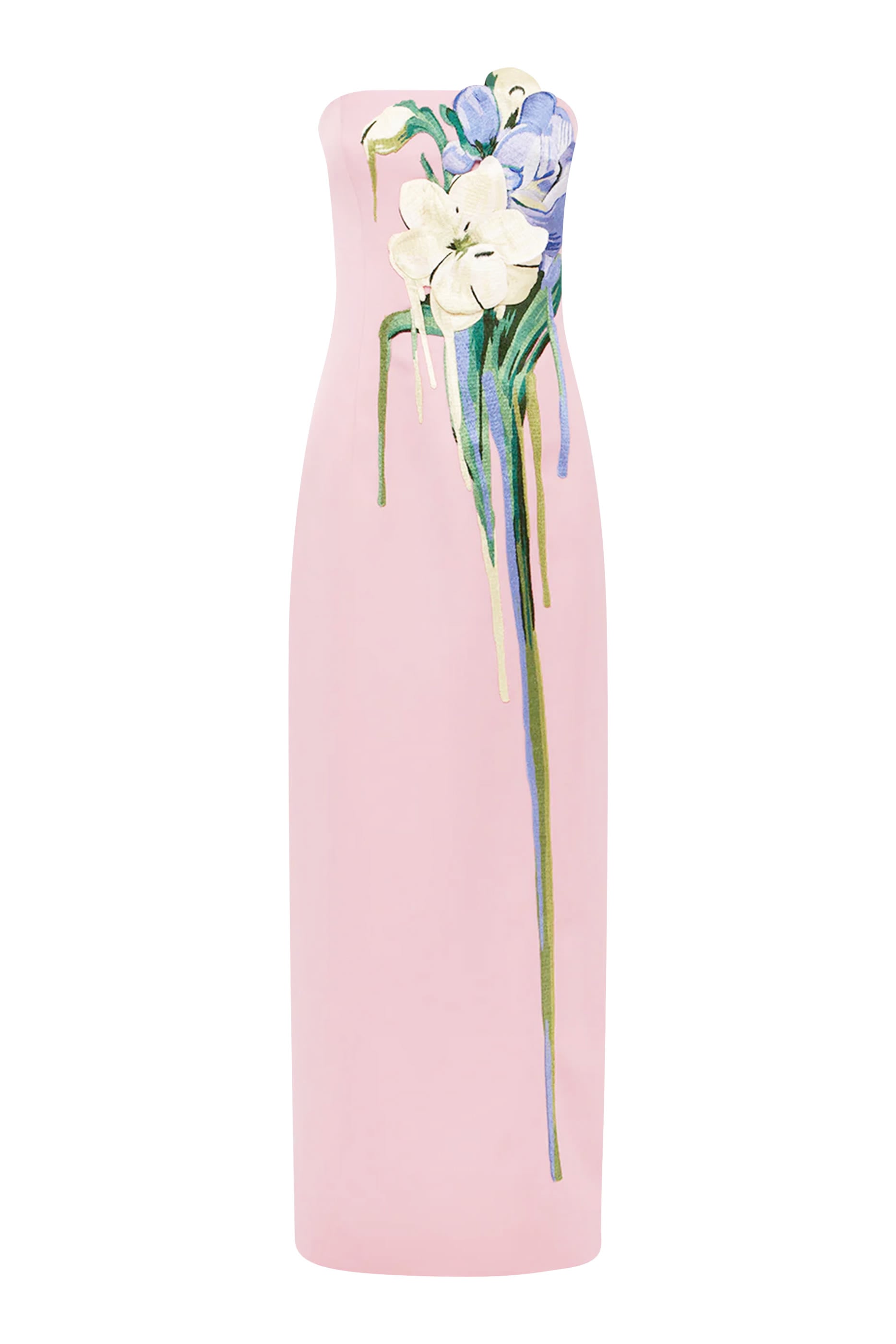 Rayna Embroidered Bustier Maxi Dress
