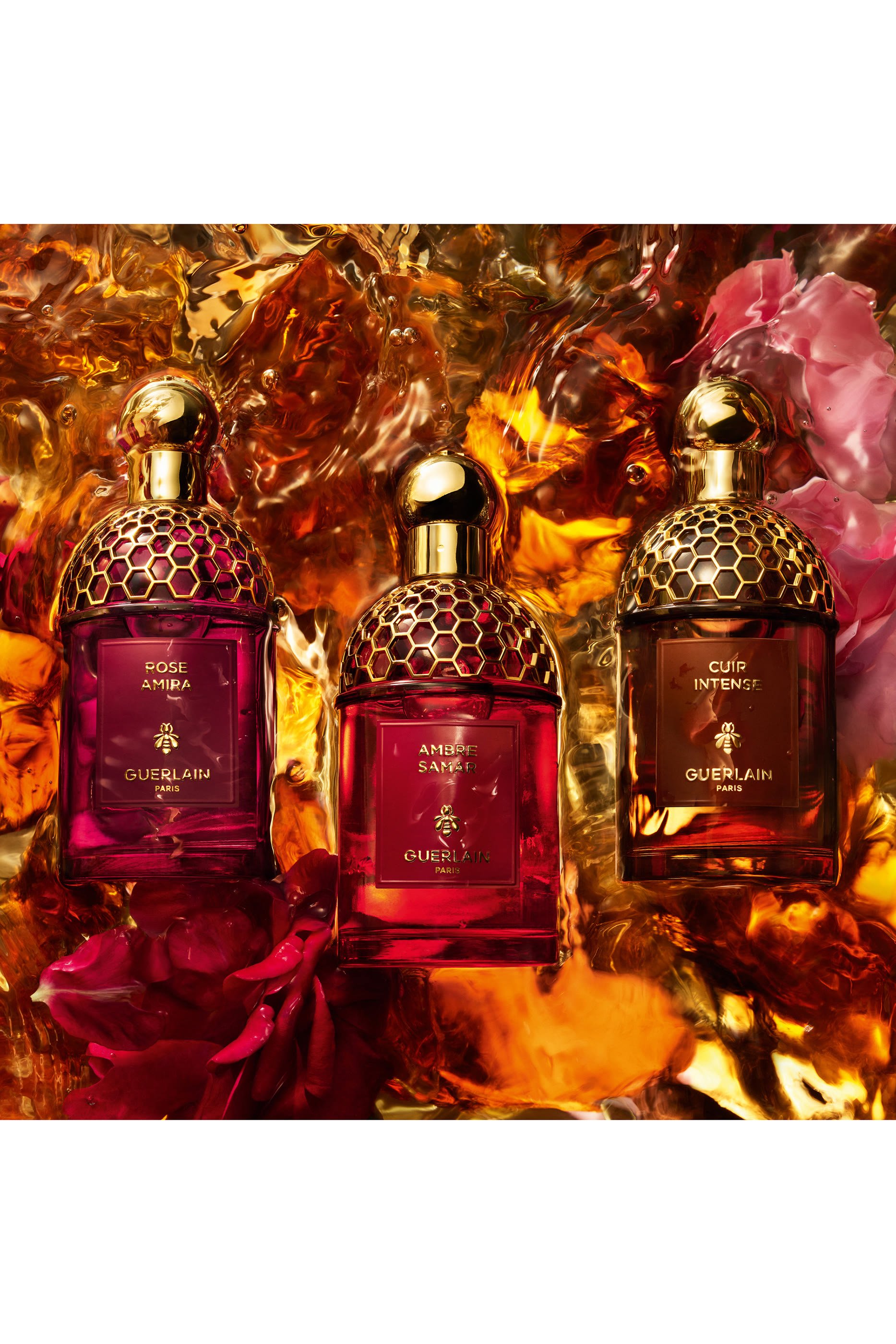 Absolus Allegoria Ambre Samar Eau de Parfum