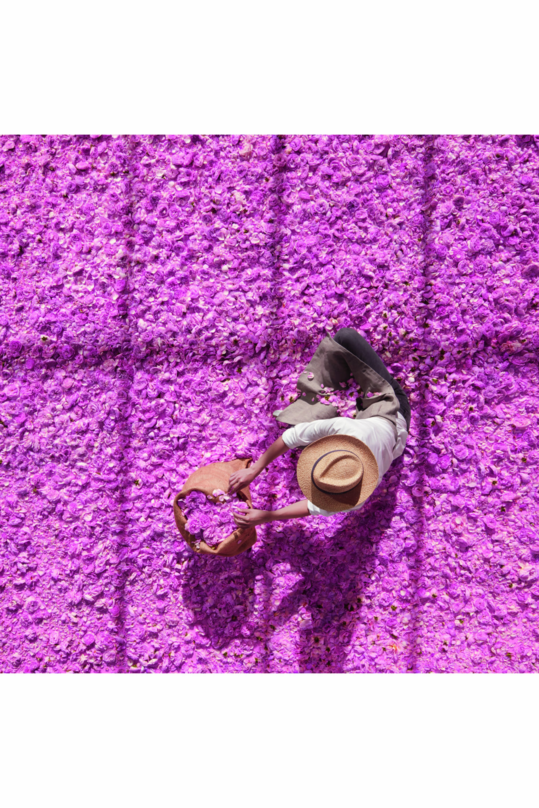 Miss Dior Rose N'Roses Hair Mist