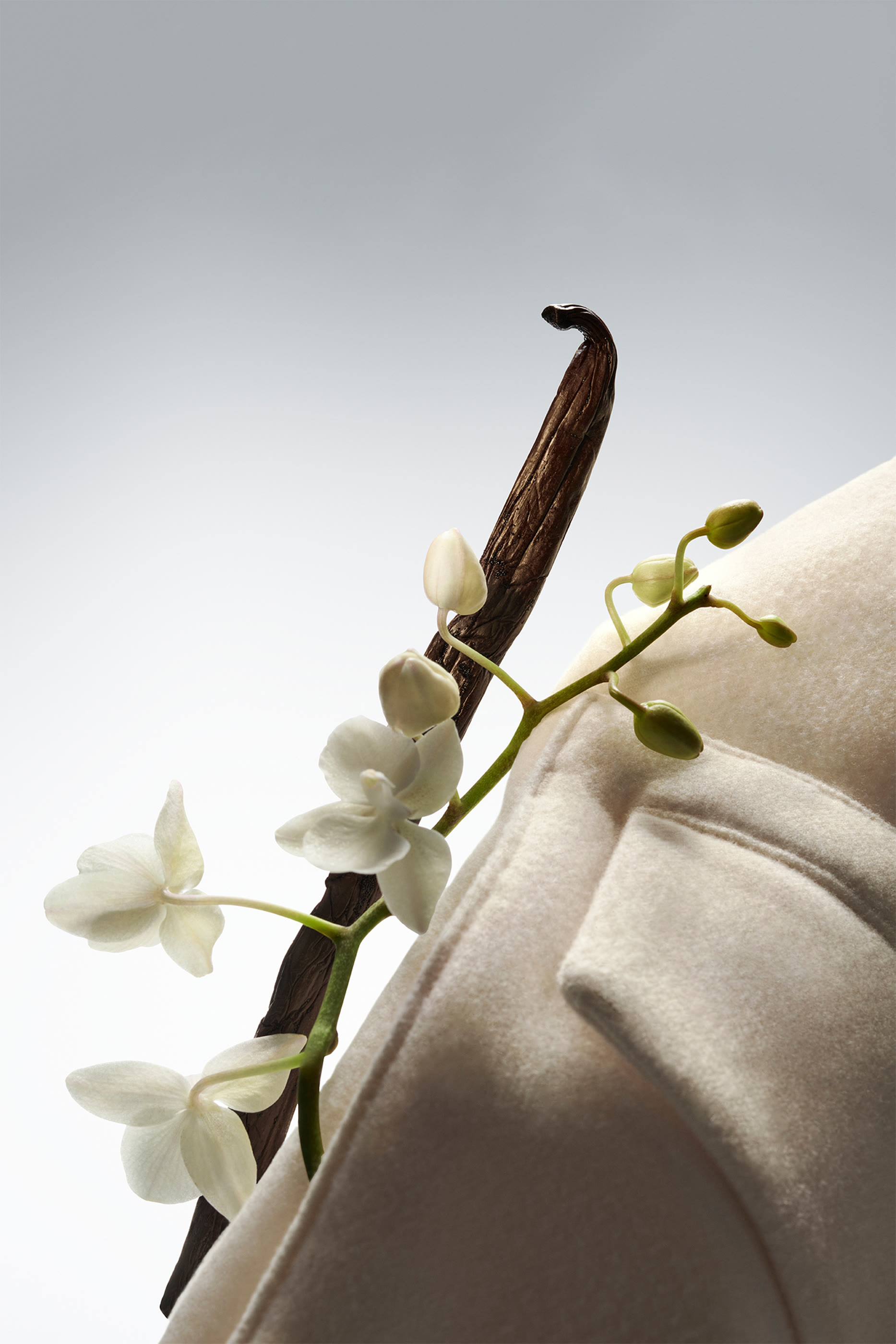 BOSS The Collection Exhilarating Vanilla Eau de Parfum