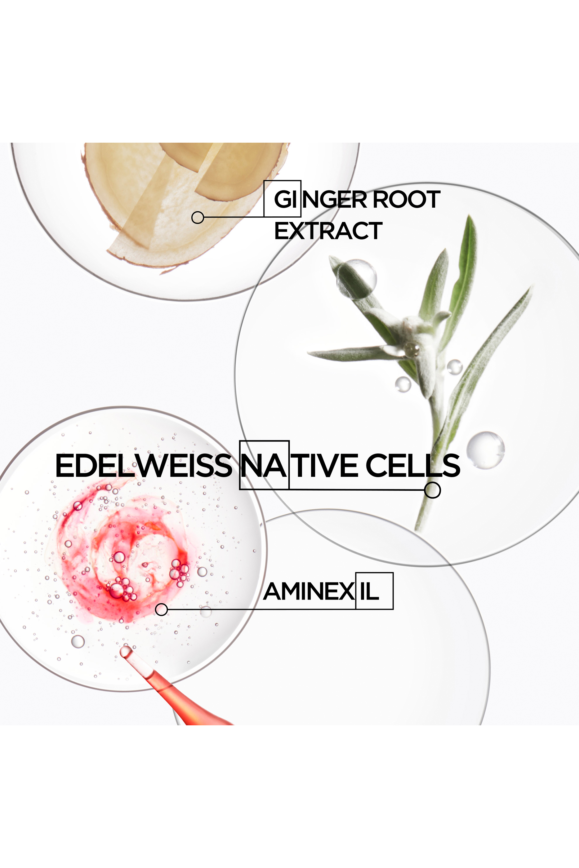 Genesis Fortifying Treatment