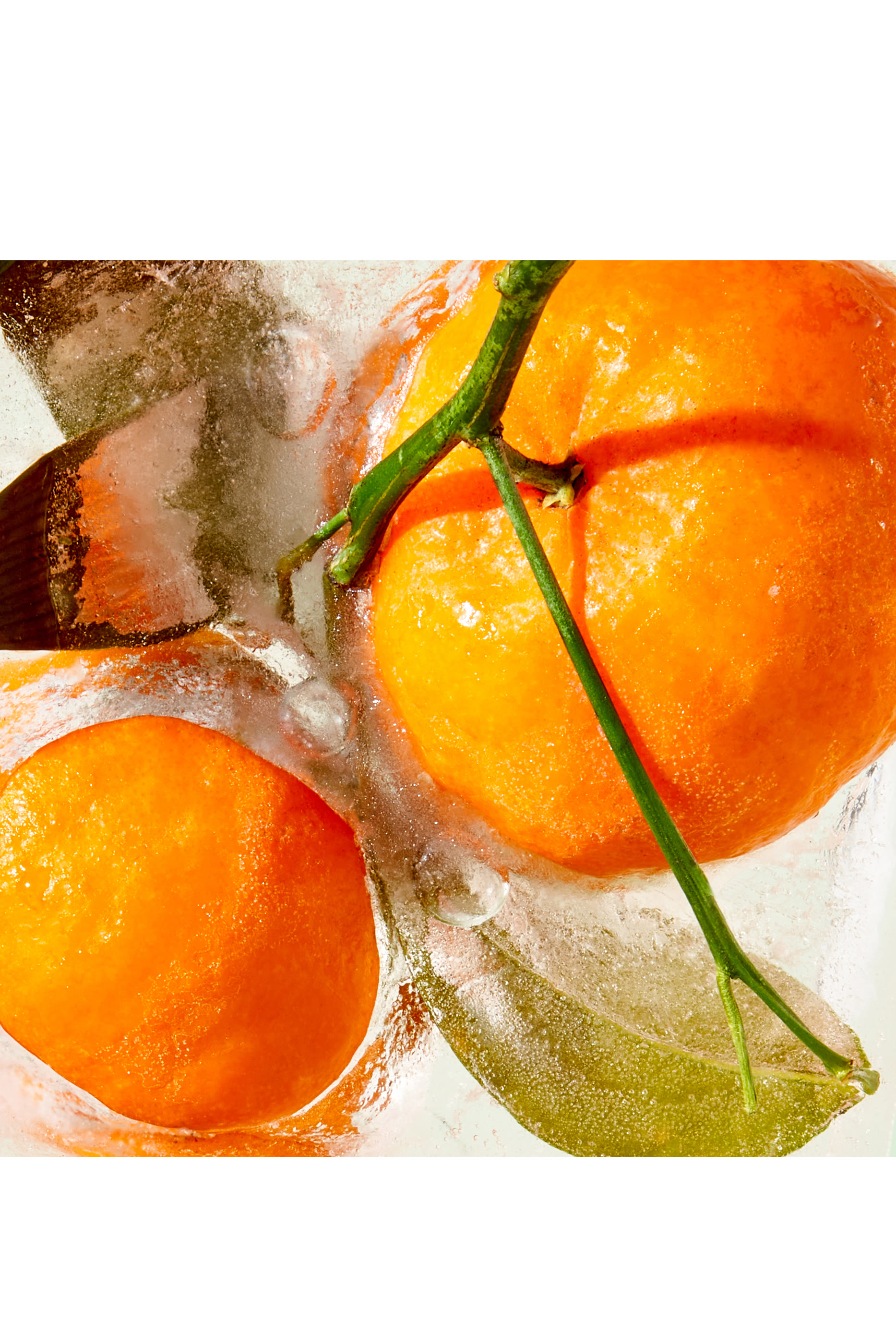 Water-Lock Moisturizer Refill Pod