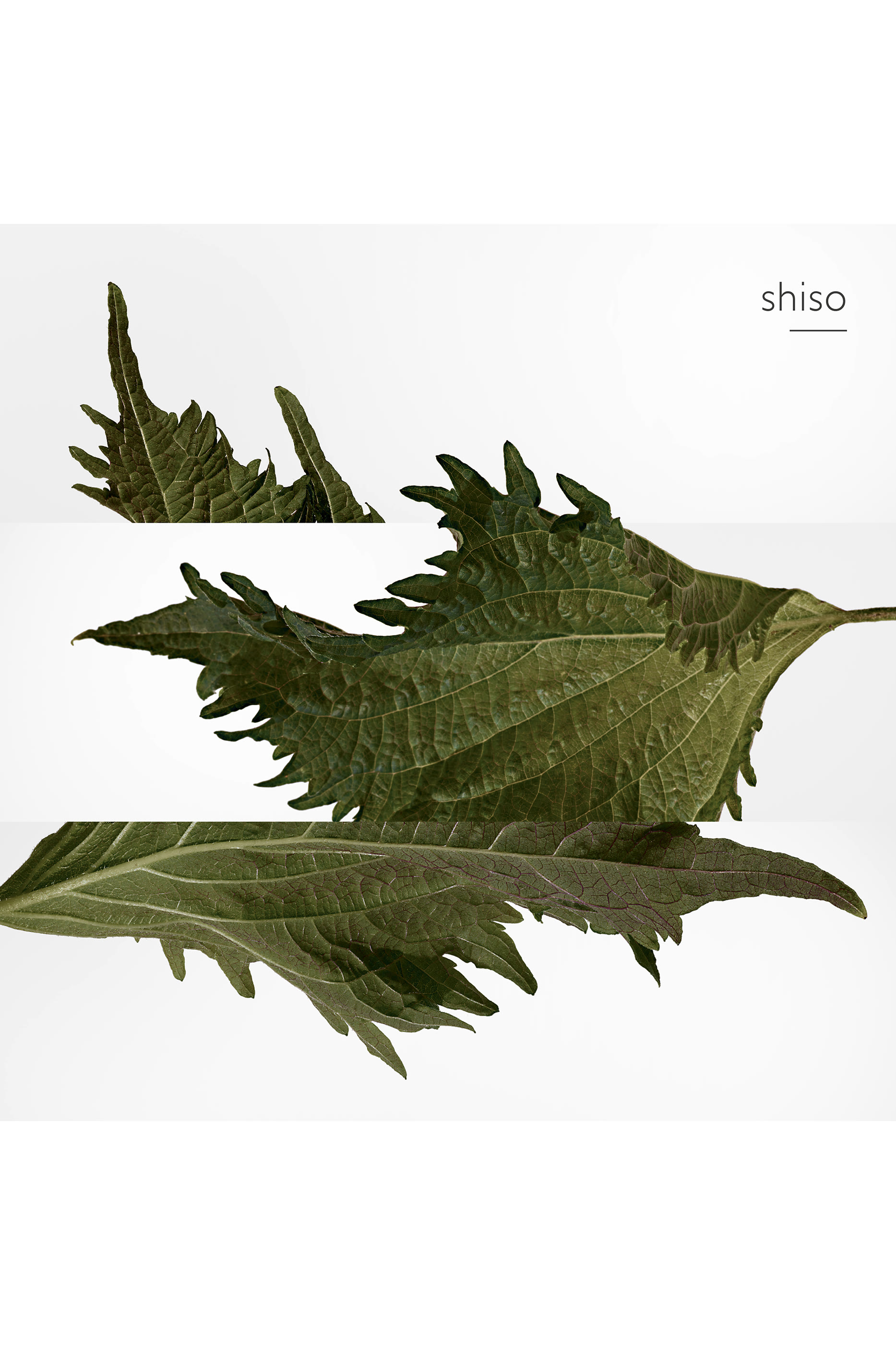 Terre d'Herm&egrave;s, Parfum refill