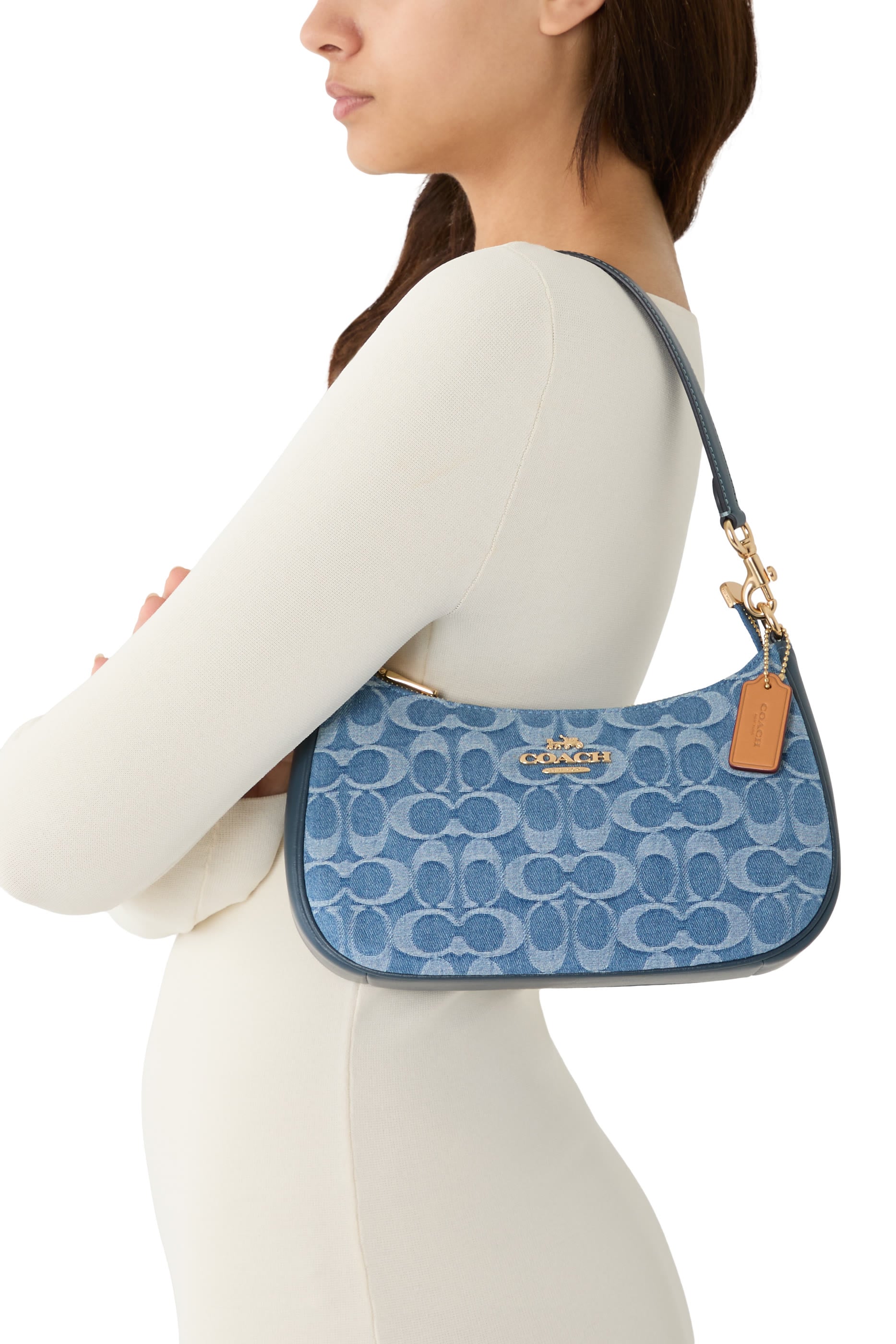 Teri Shoulder Bag in Signature Denim 