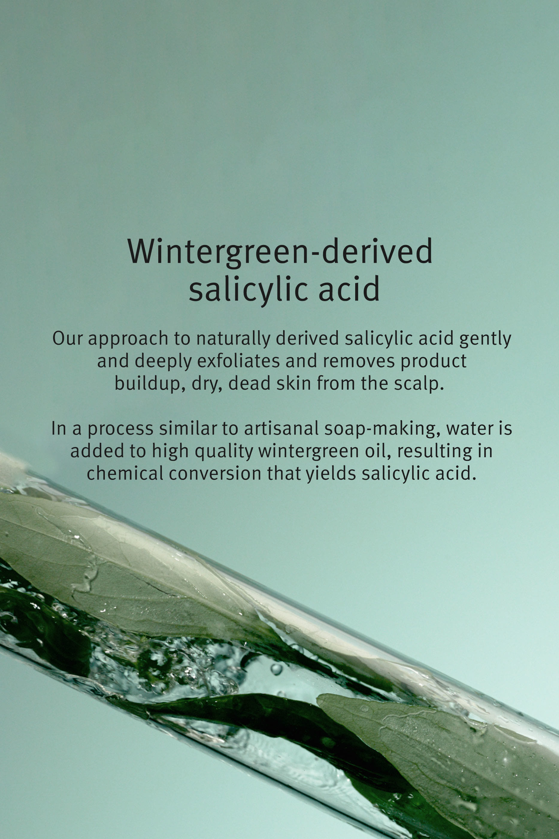 Scalp Solutions Exfoliating Scalp Treatment