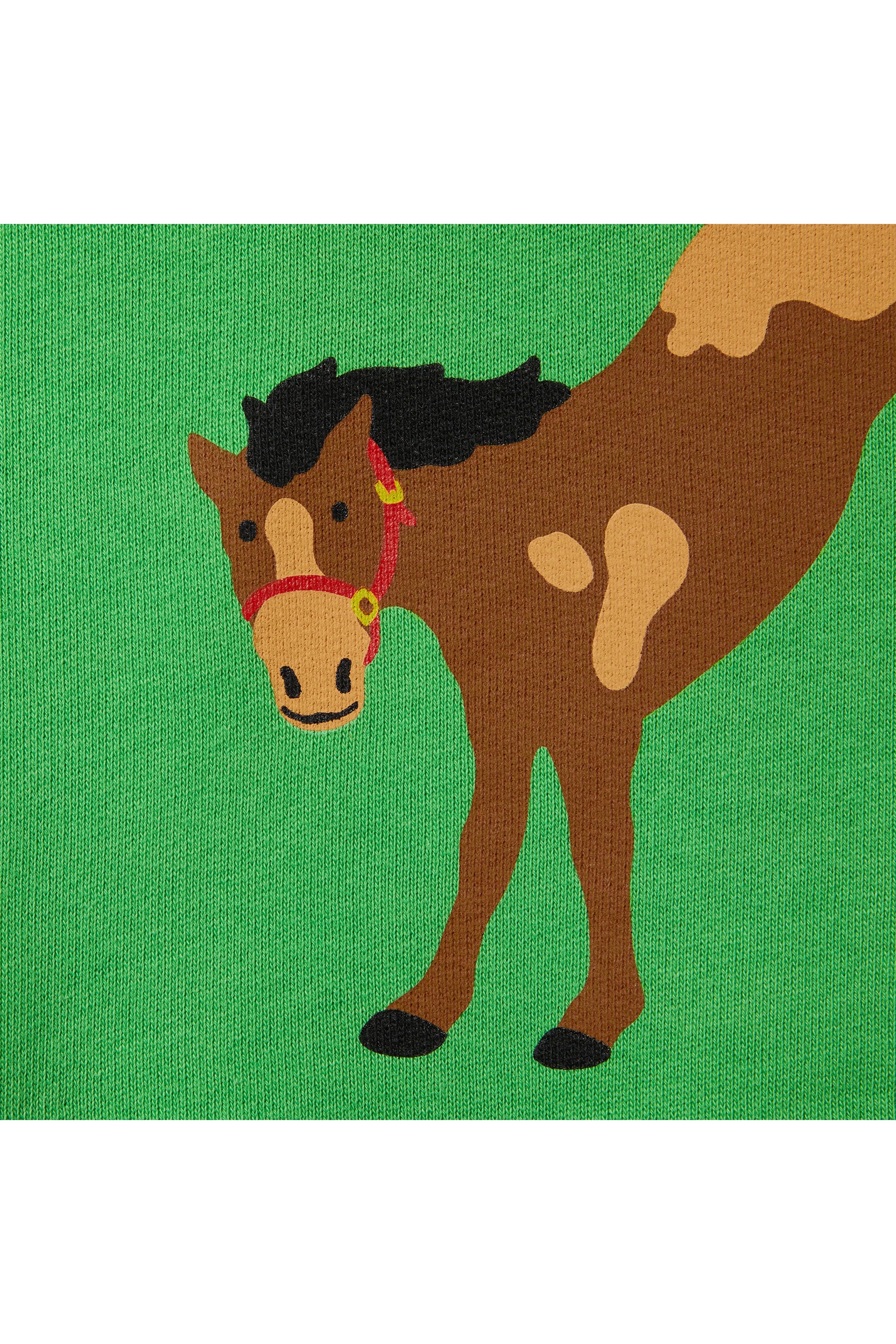 Kids  Felted Cotton Sweatshirt