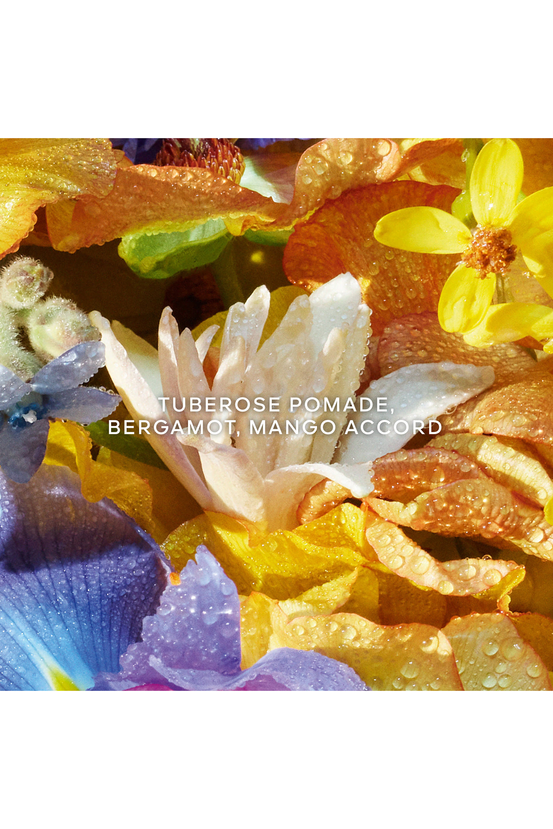 Aqua Allegoria Florabloom Hand Cream