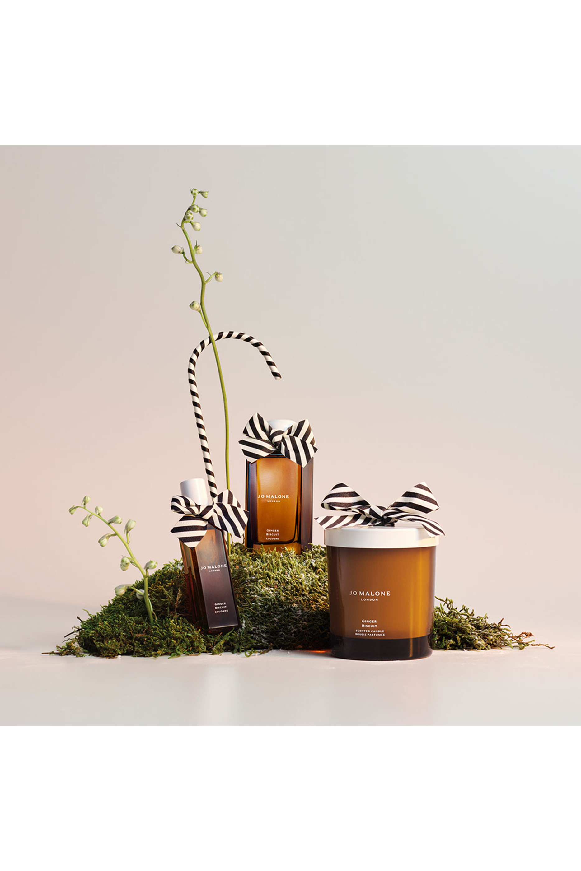 Ginger Biscuit Eau de Toilette