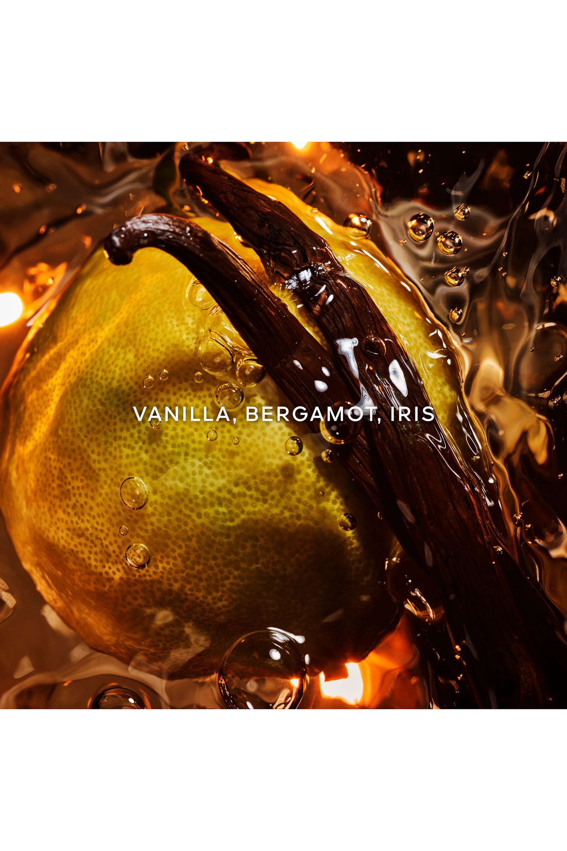 Shalimar Eau de Parfum Holiday Gift Set