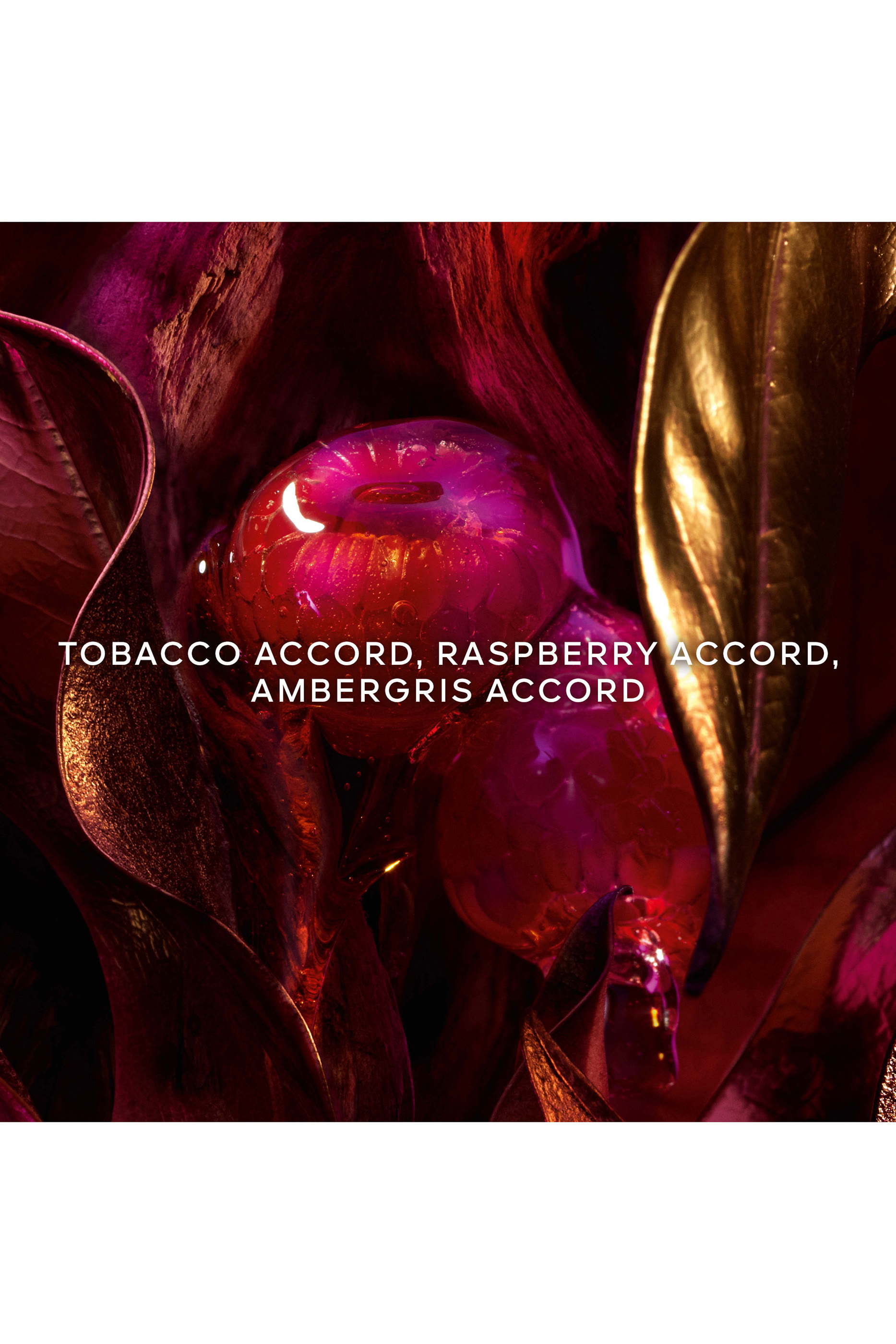 Absolus Allegoria Tabac Sahara Eau de Parfum