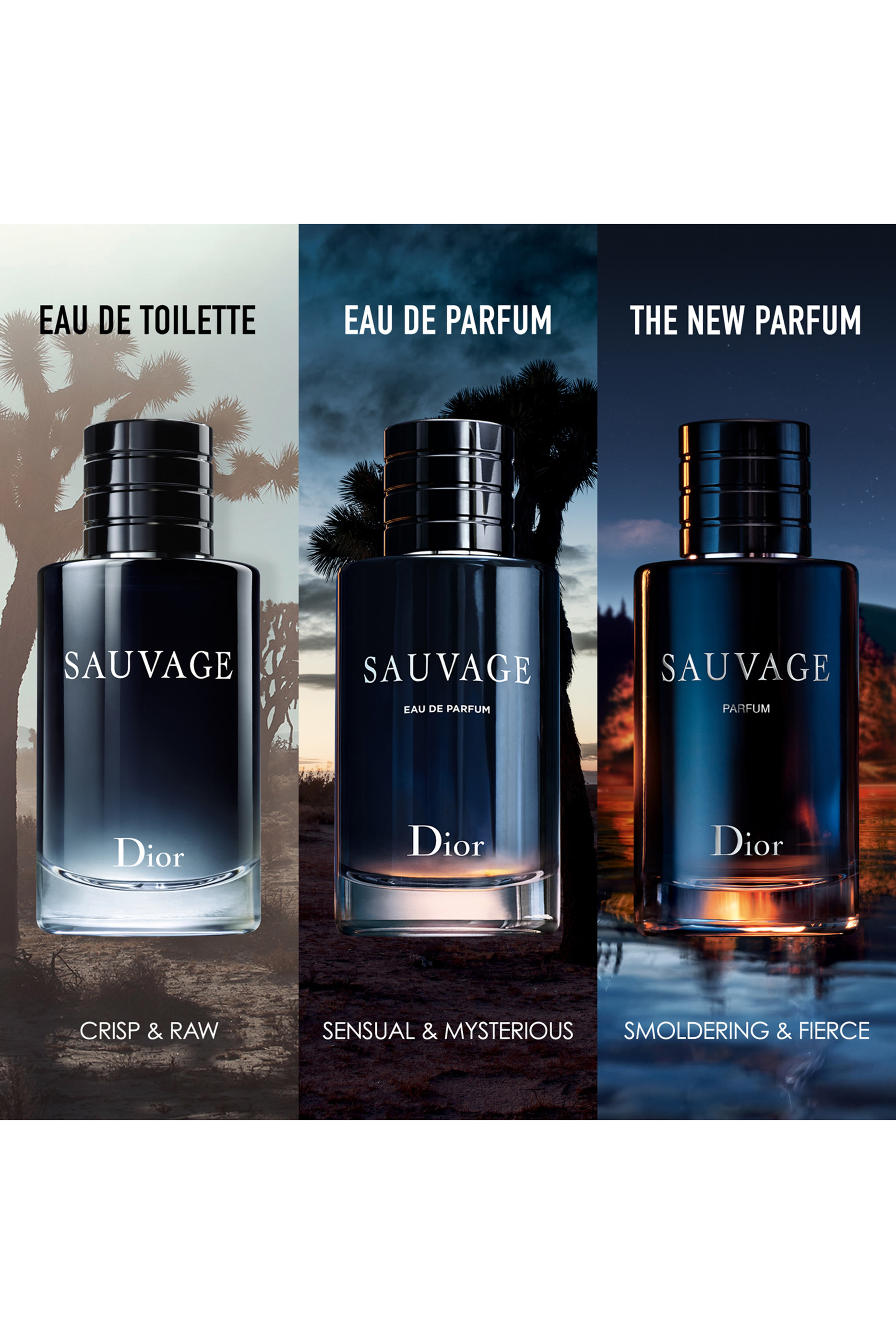 Sauvage Eau de Toilette