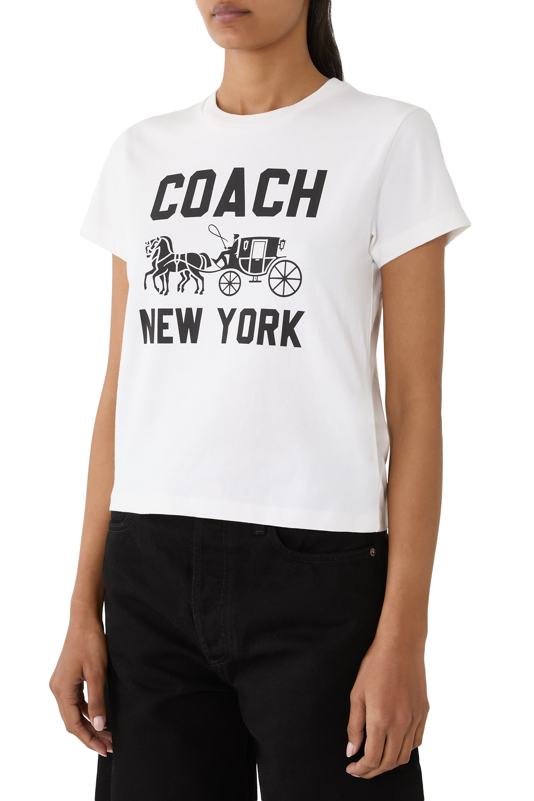 Horse and Carriage T-Shirt