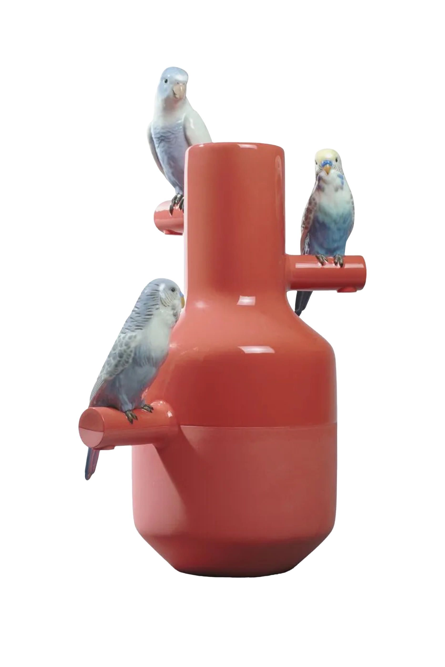 Parrot Parade Vase