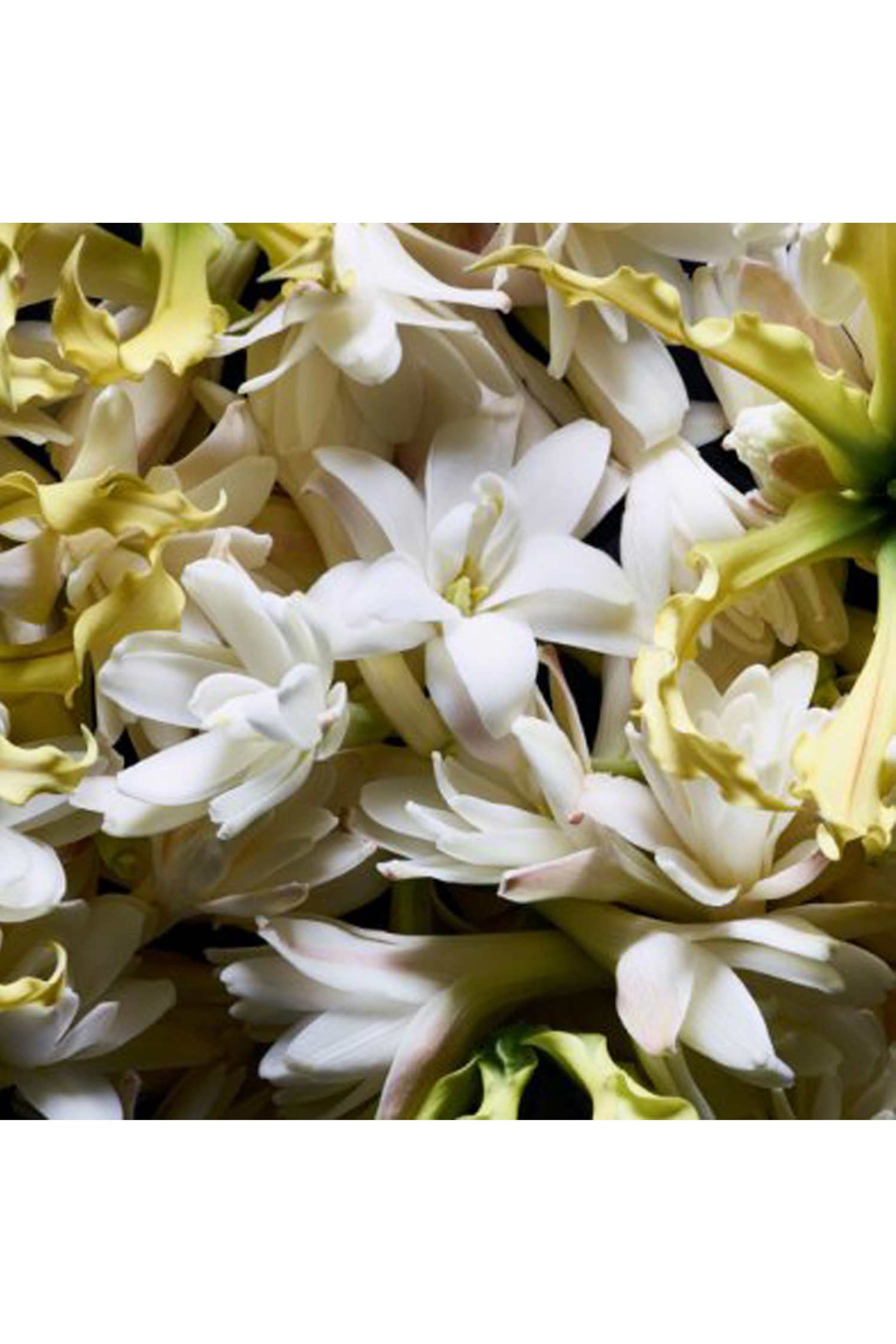 Supreme Bouquet Eau de Parfum