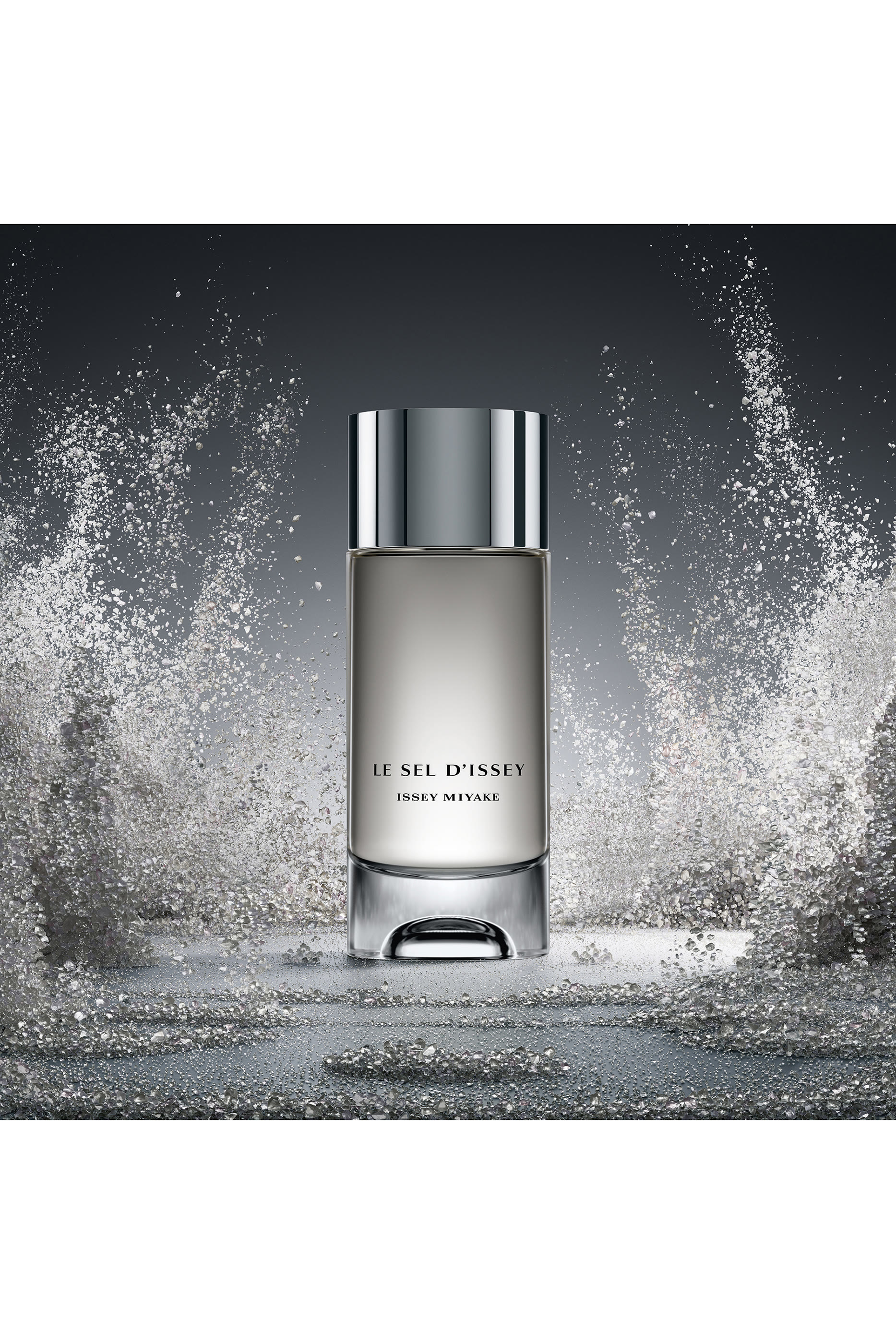 Le Sel d'Issey Eau de Toilette