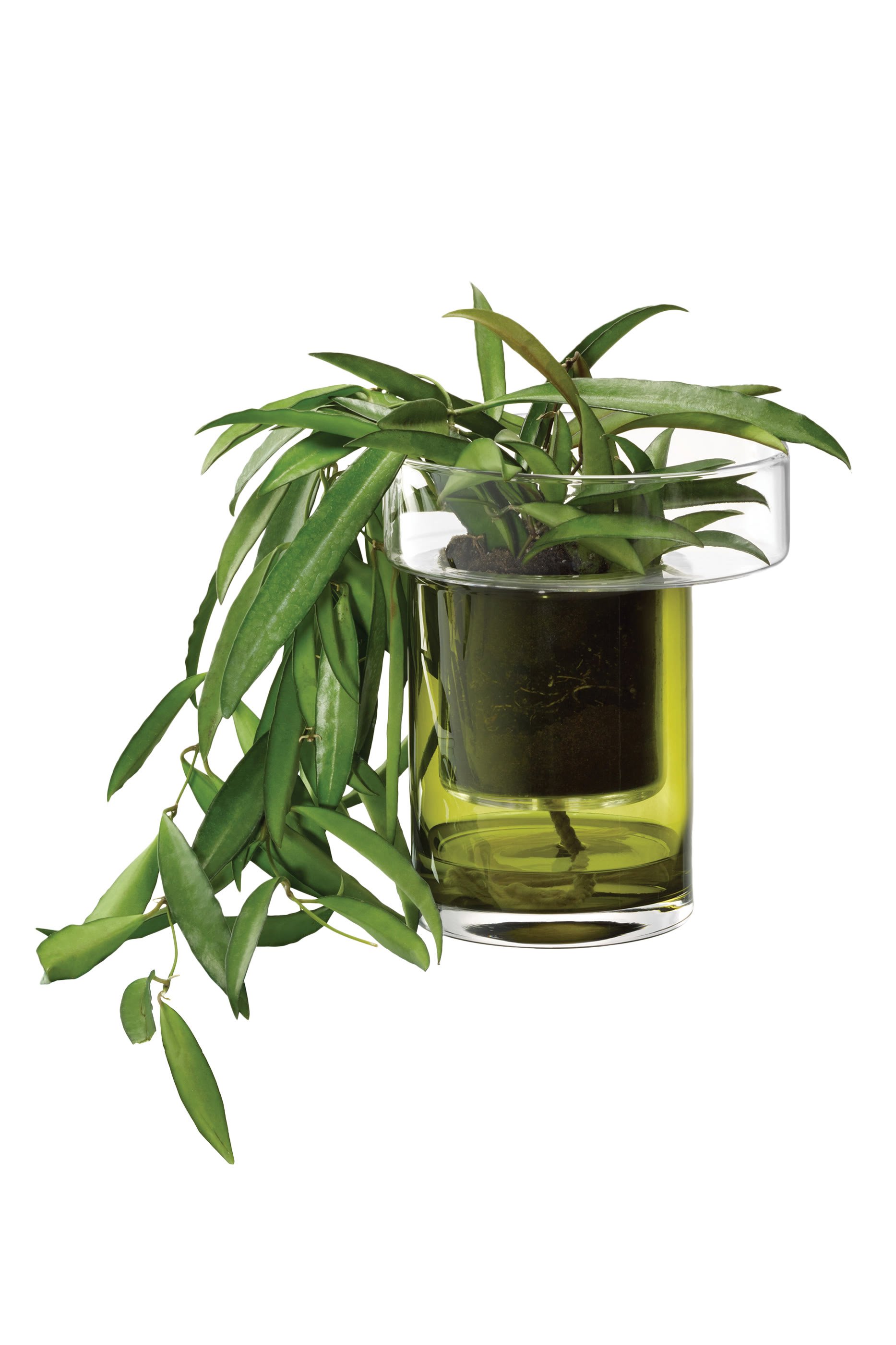 Balcony Self-Watering Planter