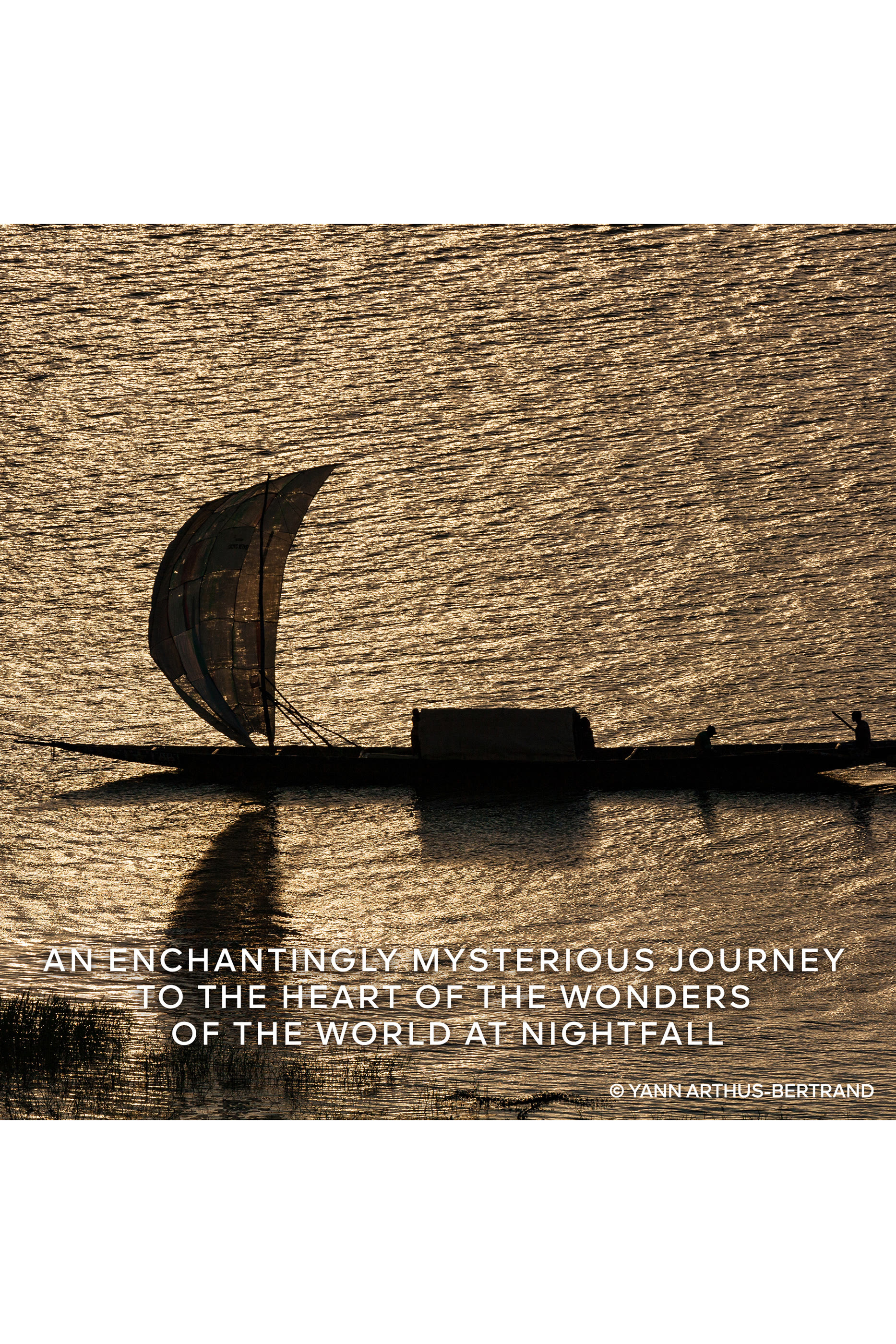 Absolus Allegoria Ambre Samar Eau de Parfum