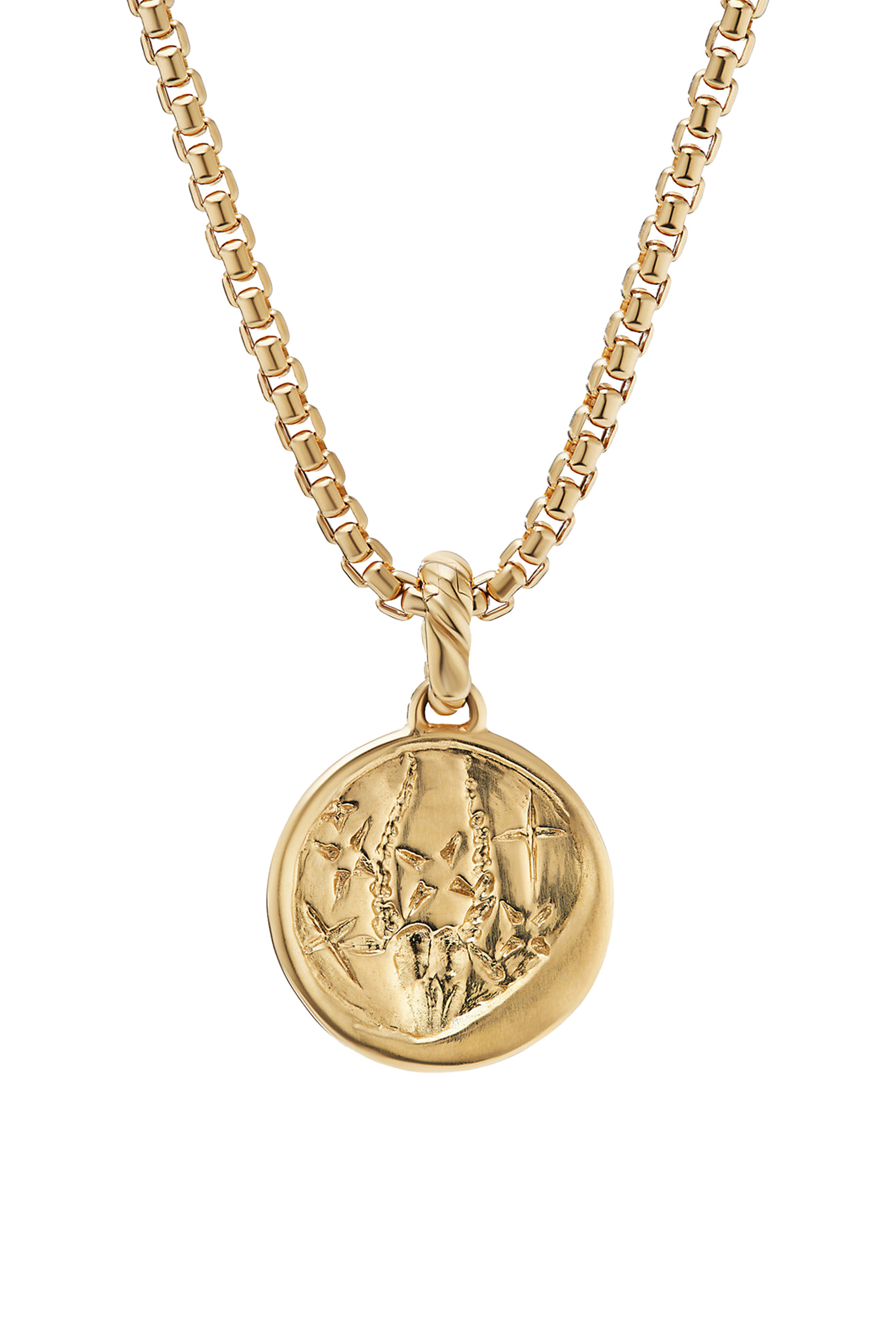 Capricorn Zodiac Amulet