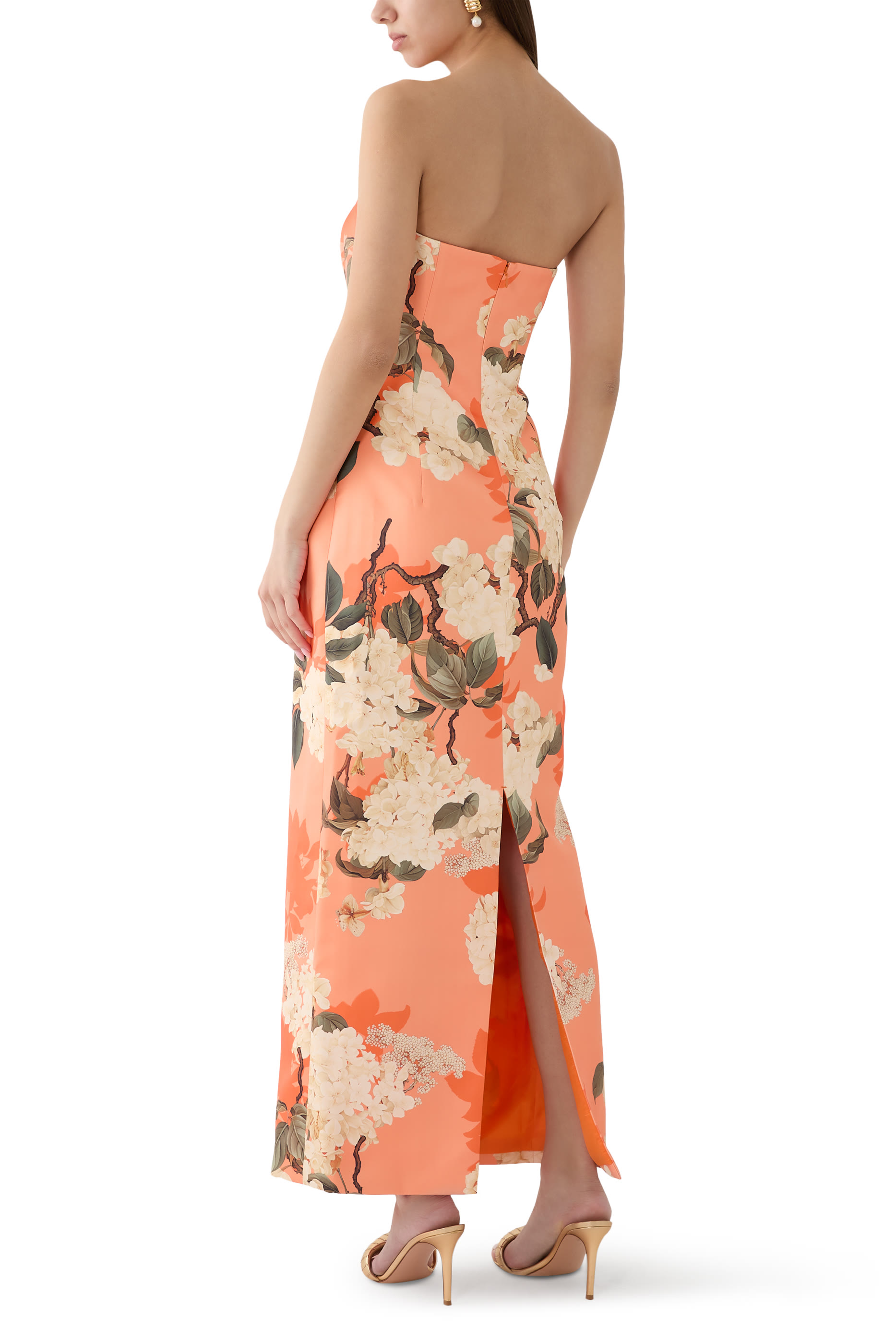 Rayna Printed Bustier Maxi Dress