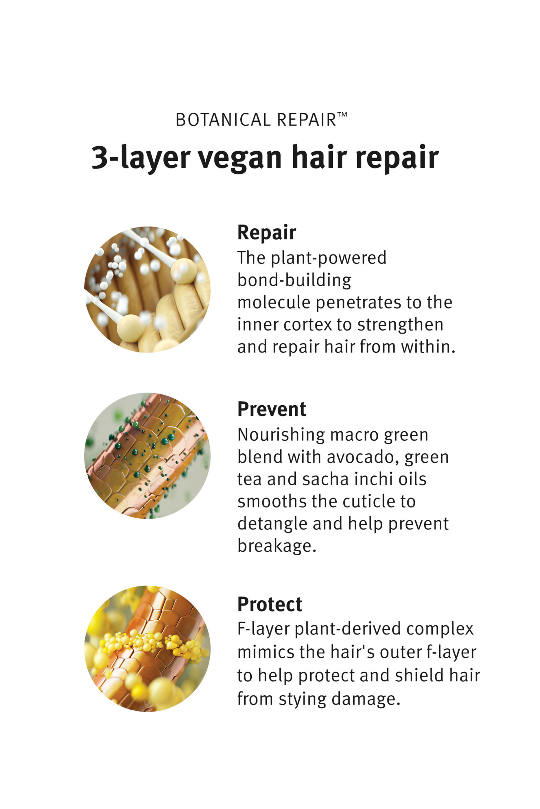 Botanical Repair Strengthening Essentials Gift Set